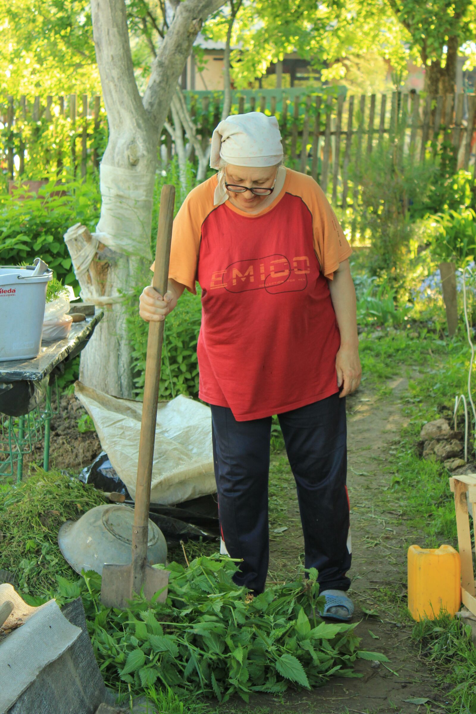 Canon EOS 550D (EOS Rebel T2i / EOS Kiss X4) sample photo. Mother-in-law, dacha, russia photography