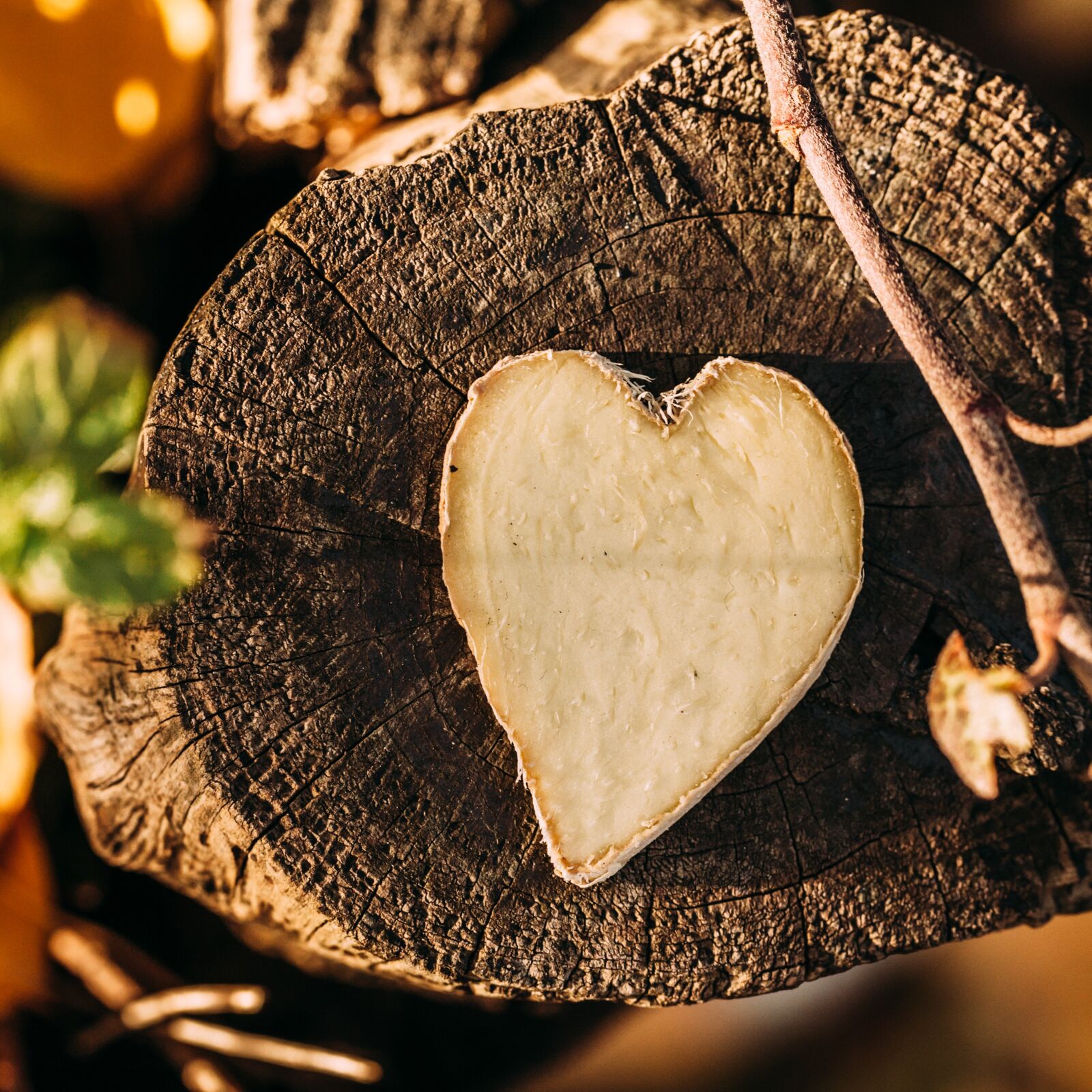 Canon EF 100mm F2.8L Macro IS USM sample photo. Ginger, heart, wood photography