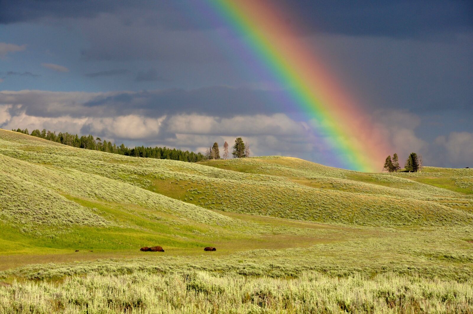 Nikon D90 sample photo. Clouds, rainbow, meadow photography