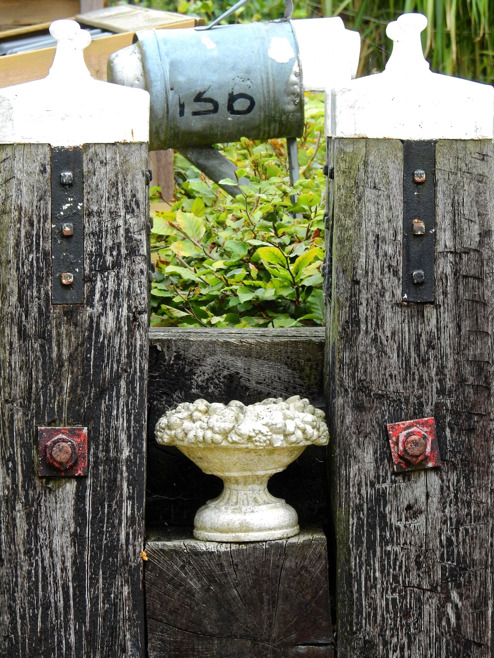 Nikon Coolpix P900 sample photo. Deco, decoration, decorative photography