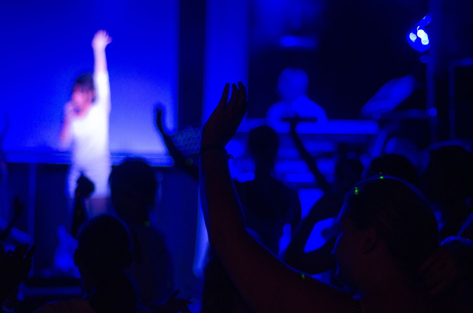 Nikon D7000 sample photo. Concert, cheering, people photography