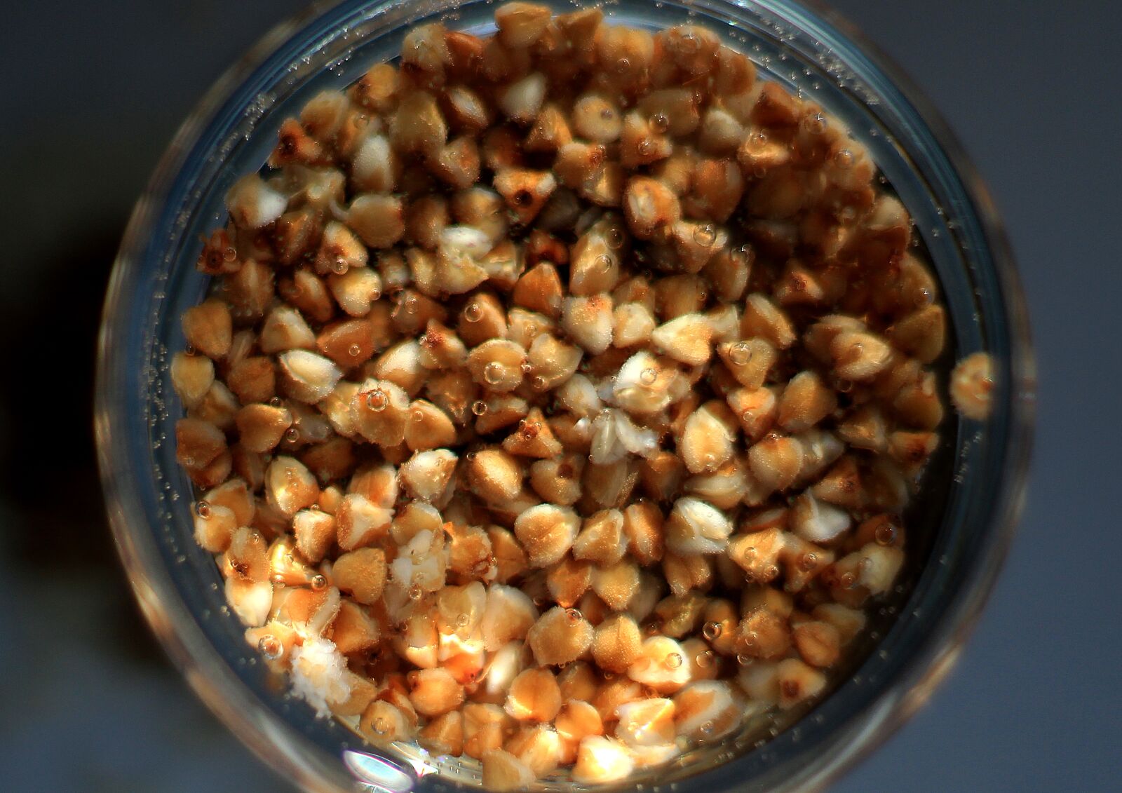 Canon EOS 1200D (EOS Rebel T5 / EOS Kiss X70 / EOS Hi) sample photo. Buckwheat, porridge, krupa photography