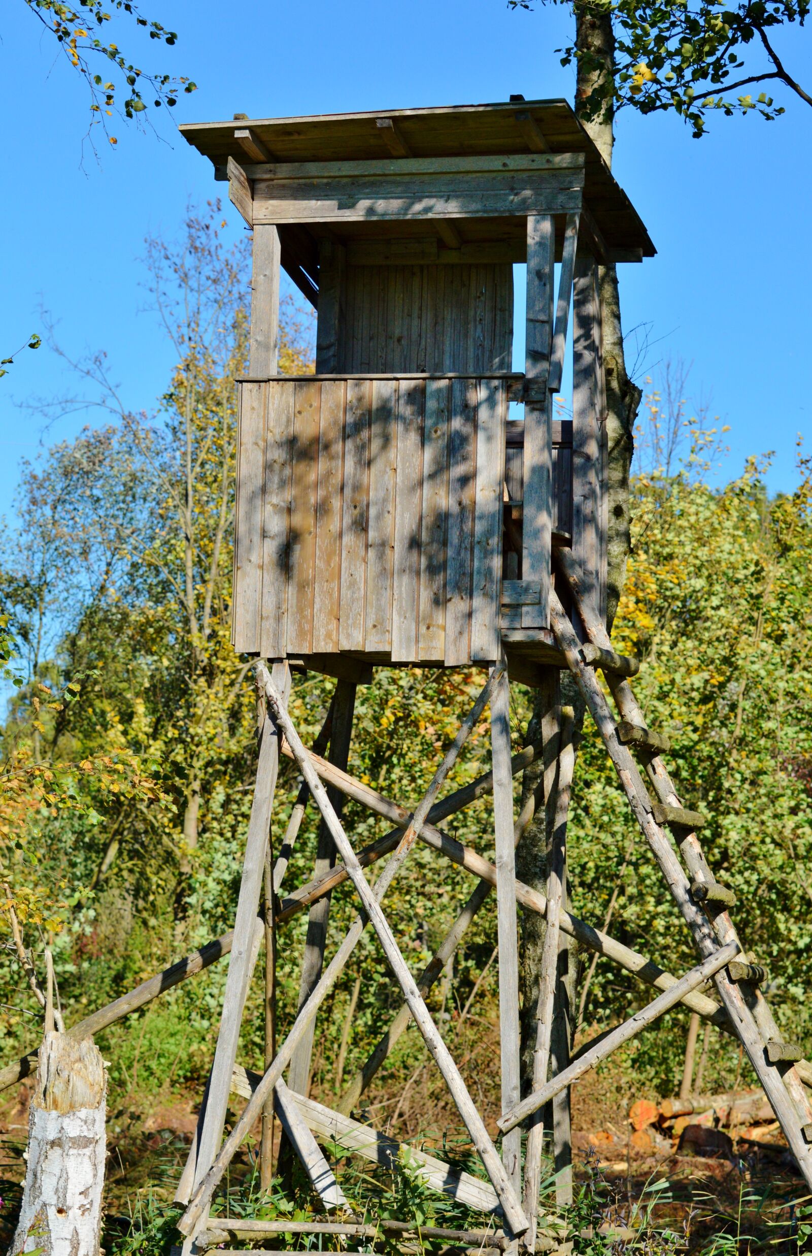 Nikon D3200 sample photo. Hunter seat, delight, perch photography