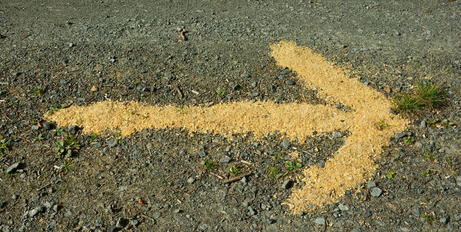 Nikon D5200 sample photo. Arrow, direction, away photography