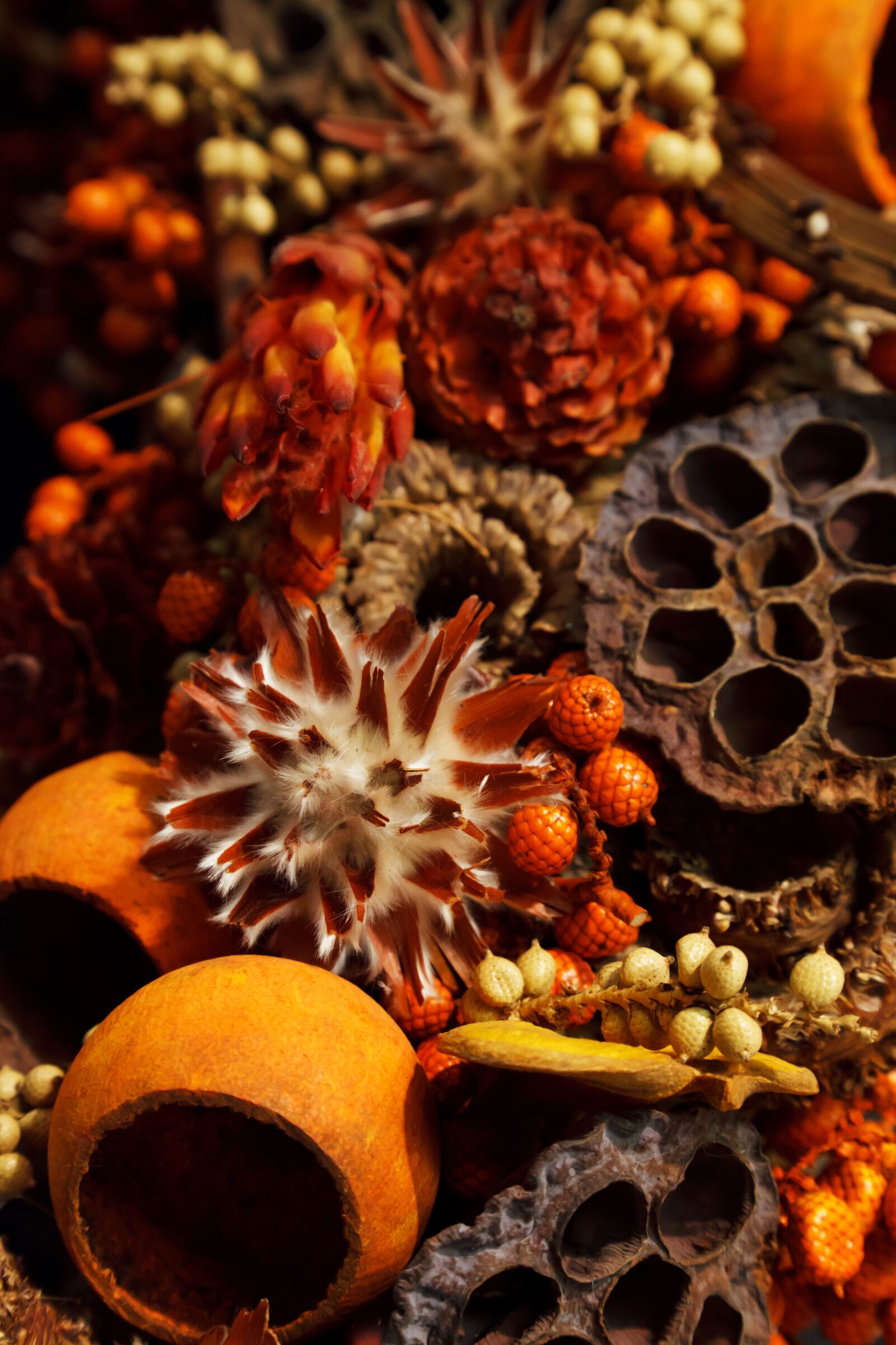 Canon EOS 5D Mark II sample photo. Aroma, aromatherapy, autumn, background photography