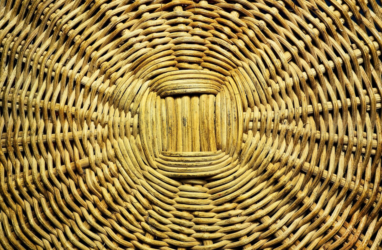 Sony Cyber-shot DSC-RX100 sample photo. Reed, twining, twined reed photography