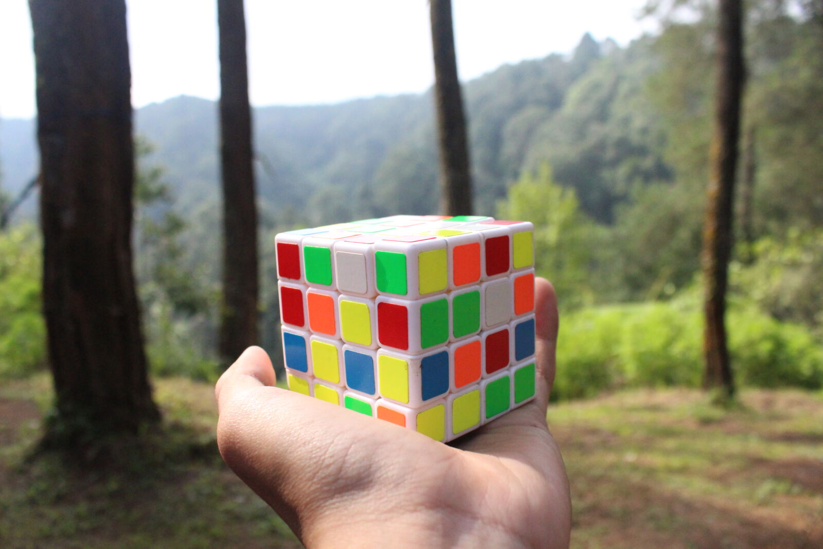 Canon EOS 700D (EOS Rebel T5i / EOS Kiss X7i) sample photo. Nature, photography, rubik, s photography