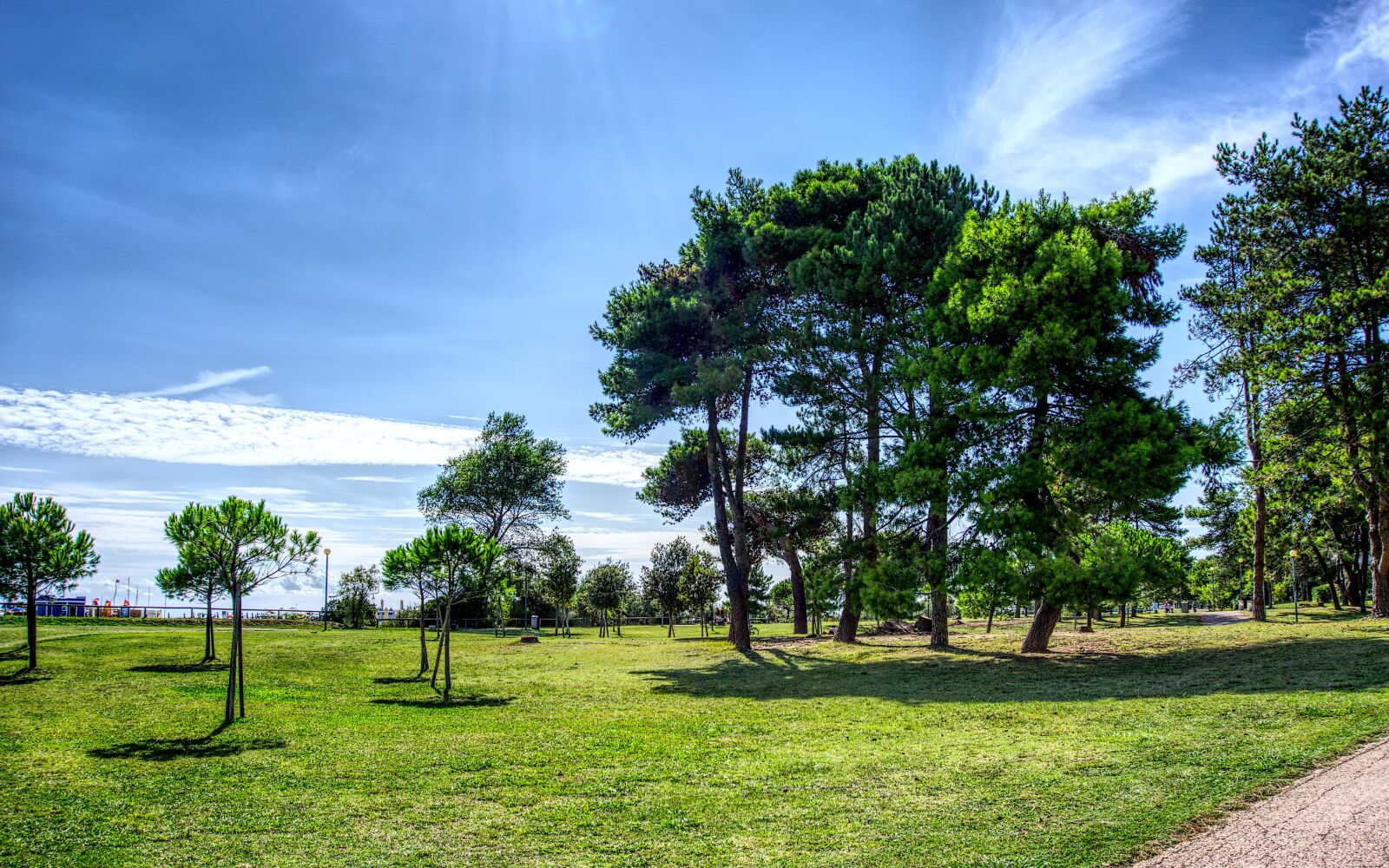 Sony a6000 sample photo. Tree, meadow, sky photography