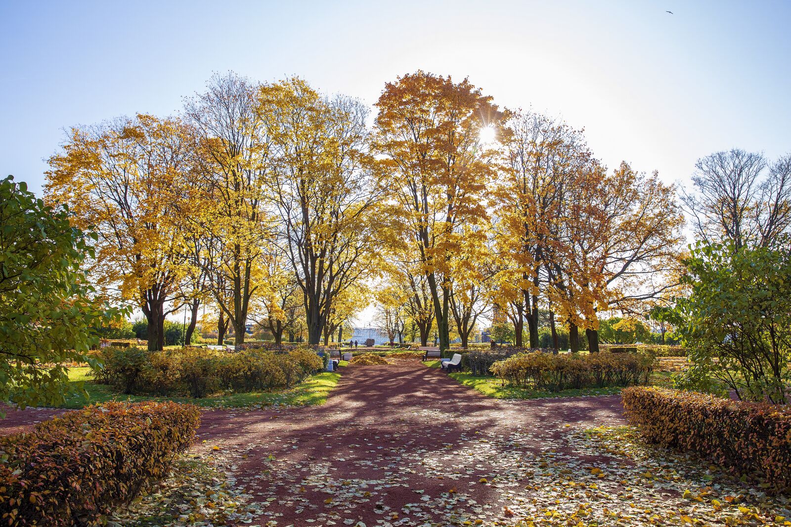 Canon EOS 6D sample photo. Autumn, russia, petersburg photography