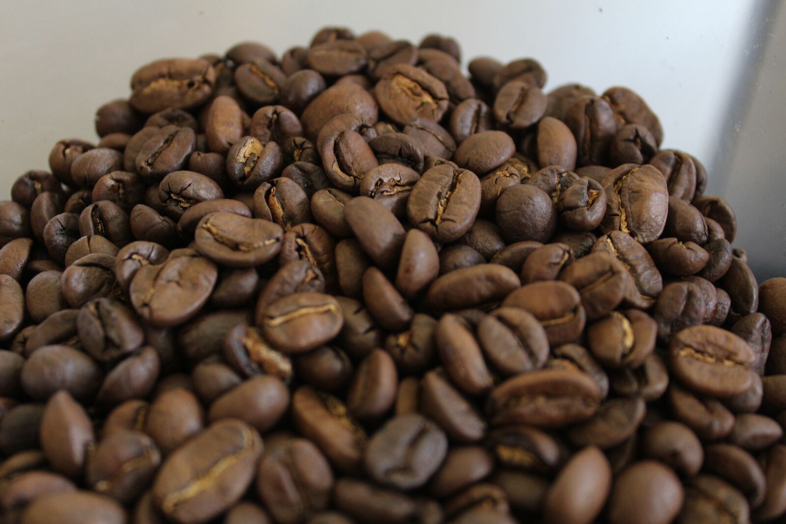 Canon EOS 1200D (EOS Rebel T5 / EOS Kiss X70 / EOS Hi) sample photo. Coffee, seed, caffeine photography