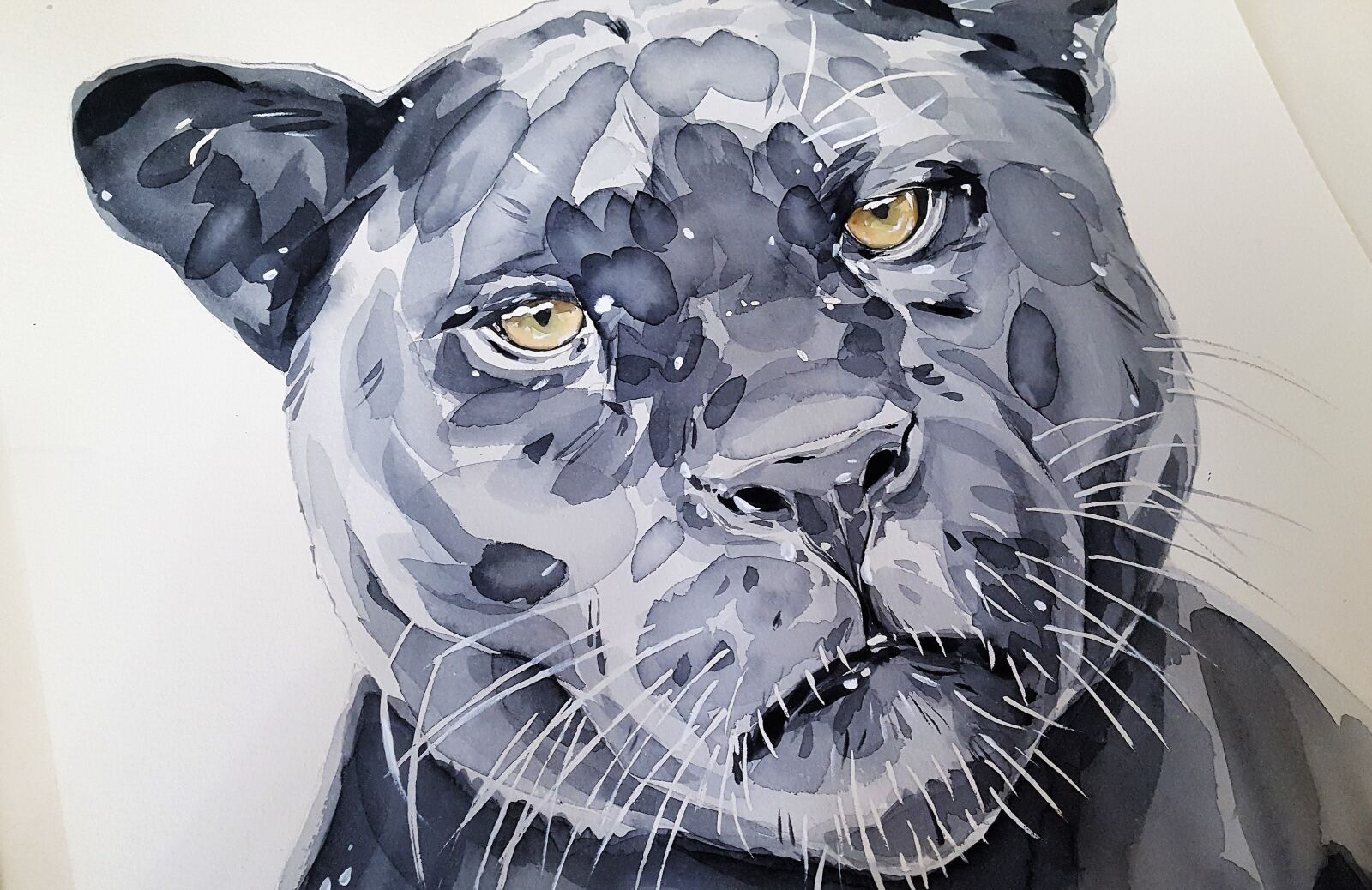Samsung Galaxy S6 sample photo. Jaguar, cat, black photography