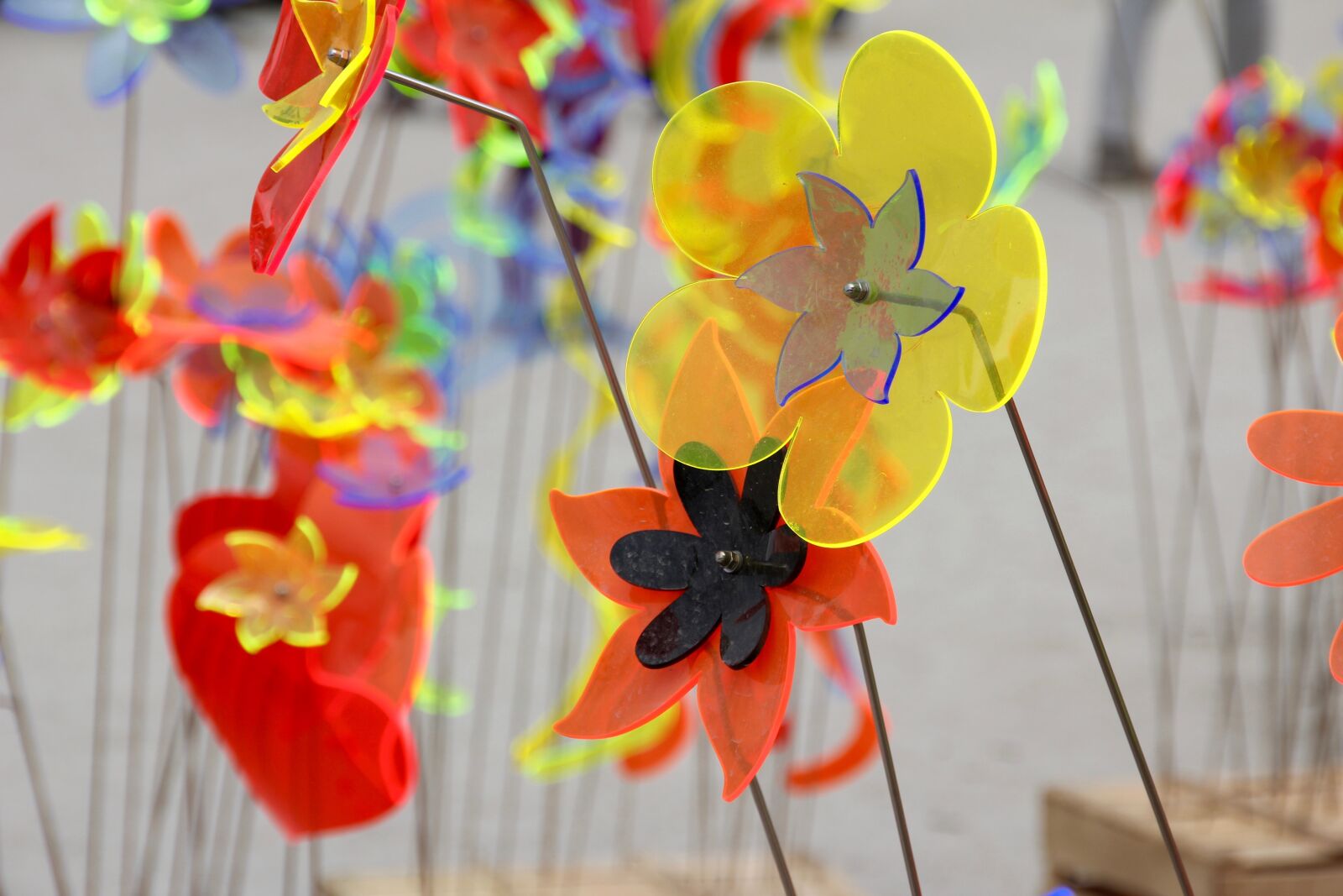 Canon EOS 60D sample photo. Decoration, flowers, plastic photography