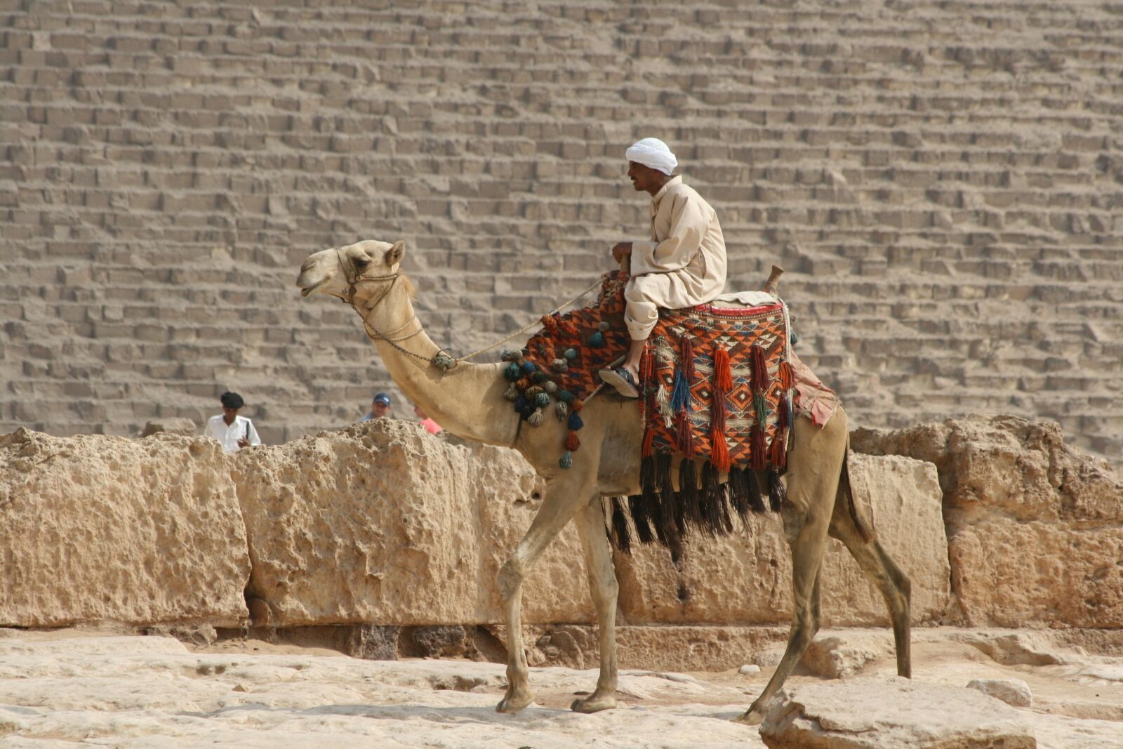 Canon EOS 400D (EOS Digital Rebel XTi / EOS Kiss Digital X) sample photo. Desert ship, camel, egypt photography