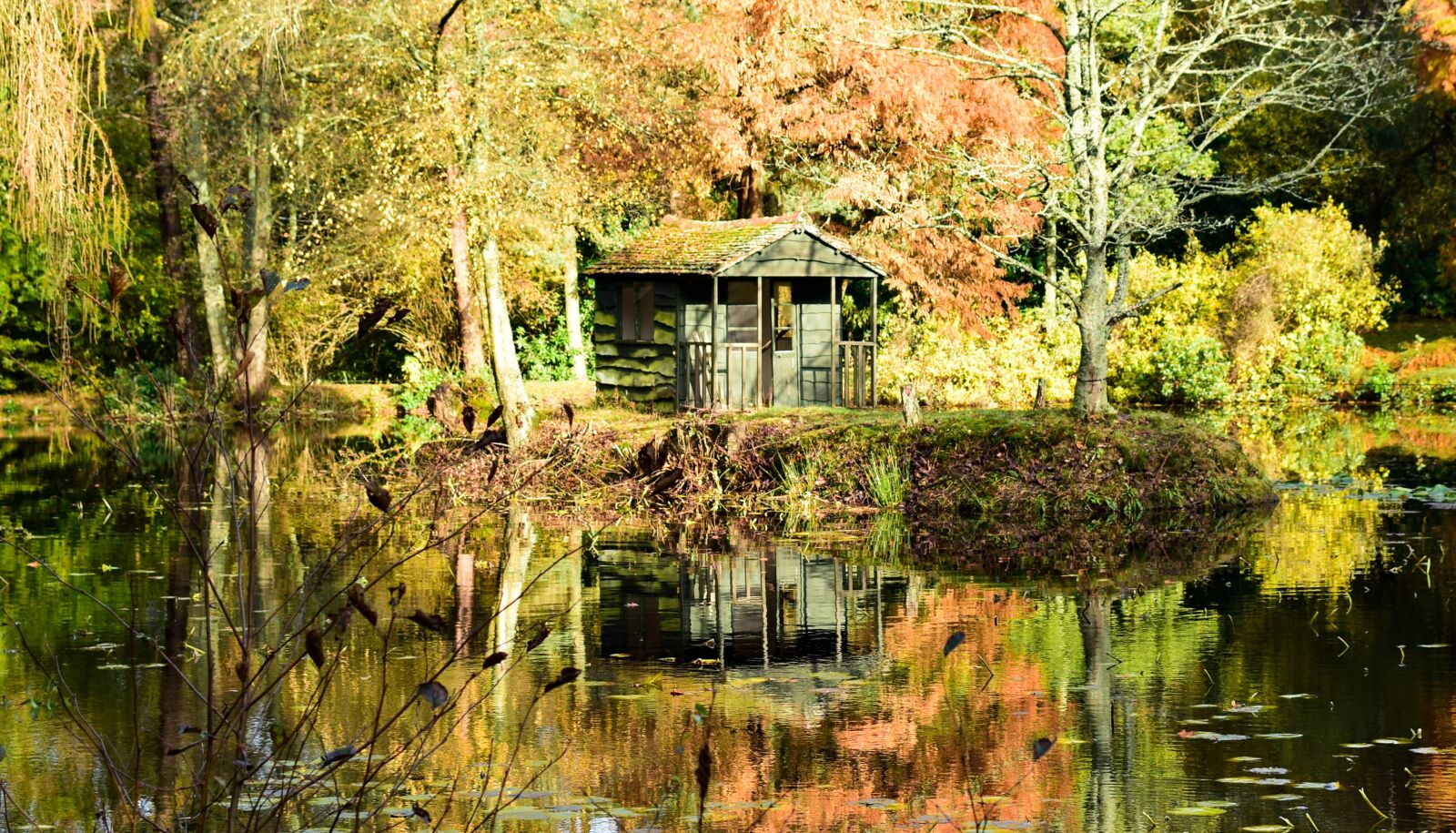 Nikon D5300 sample photo. Chalet, forest, autumn photography