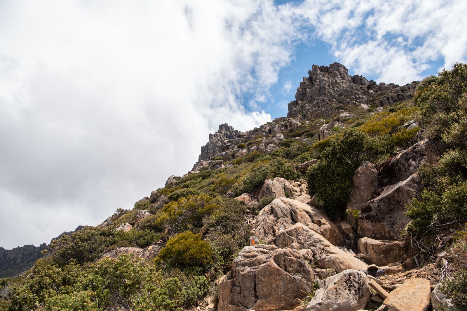 Nikon D750 sample photo. Overland track, tasmania, wilderness photography