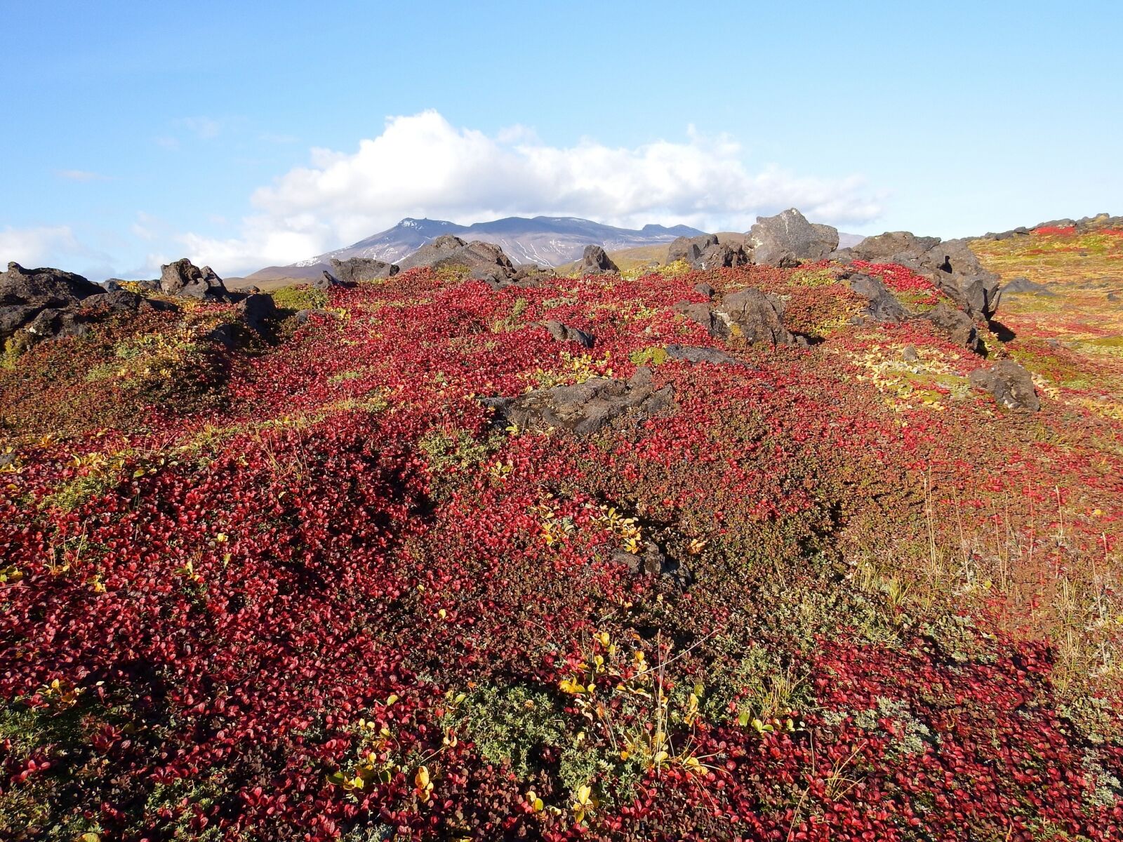 Fujifilm FinePix S1 sample photo. Mountains, volcano, tundra photography
