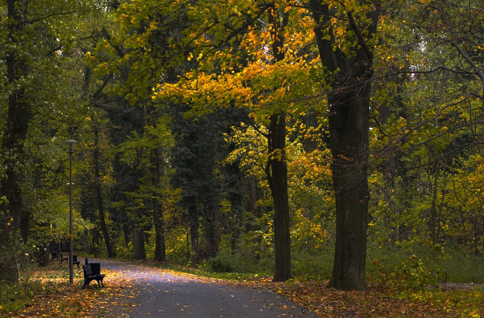 Pentax K-r sample photo. Park, bench, autumn photography