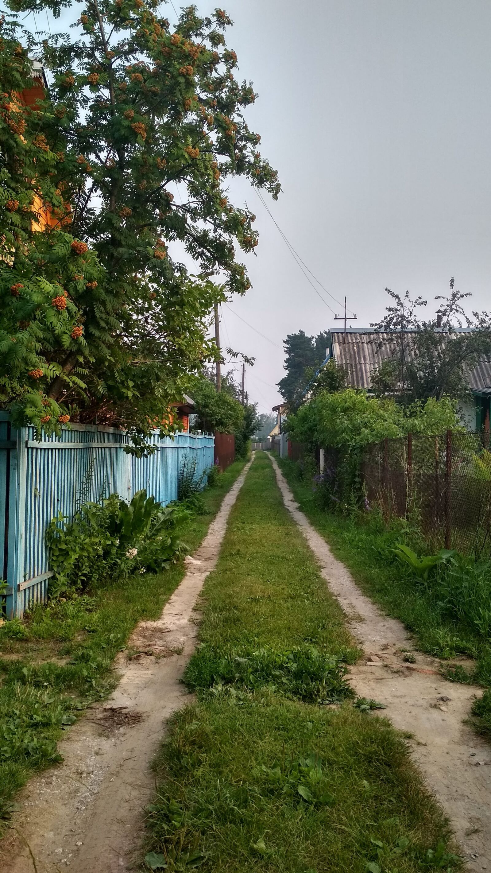 Xiaomi Redmi 4X sample photo. Summer, road, travel photography