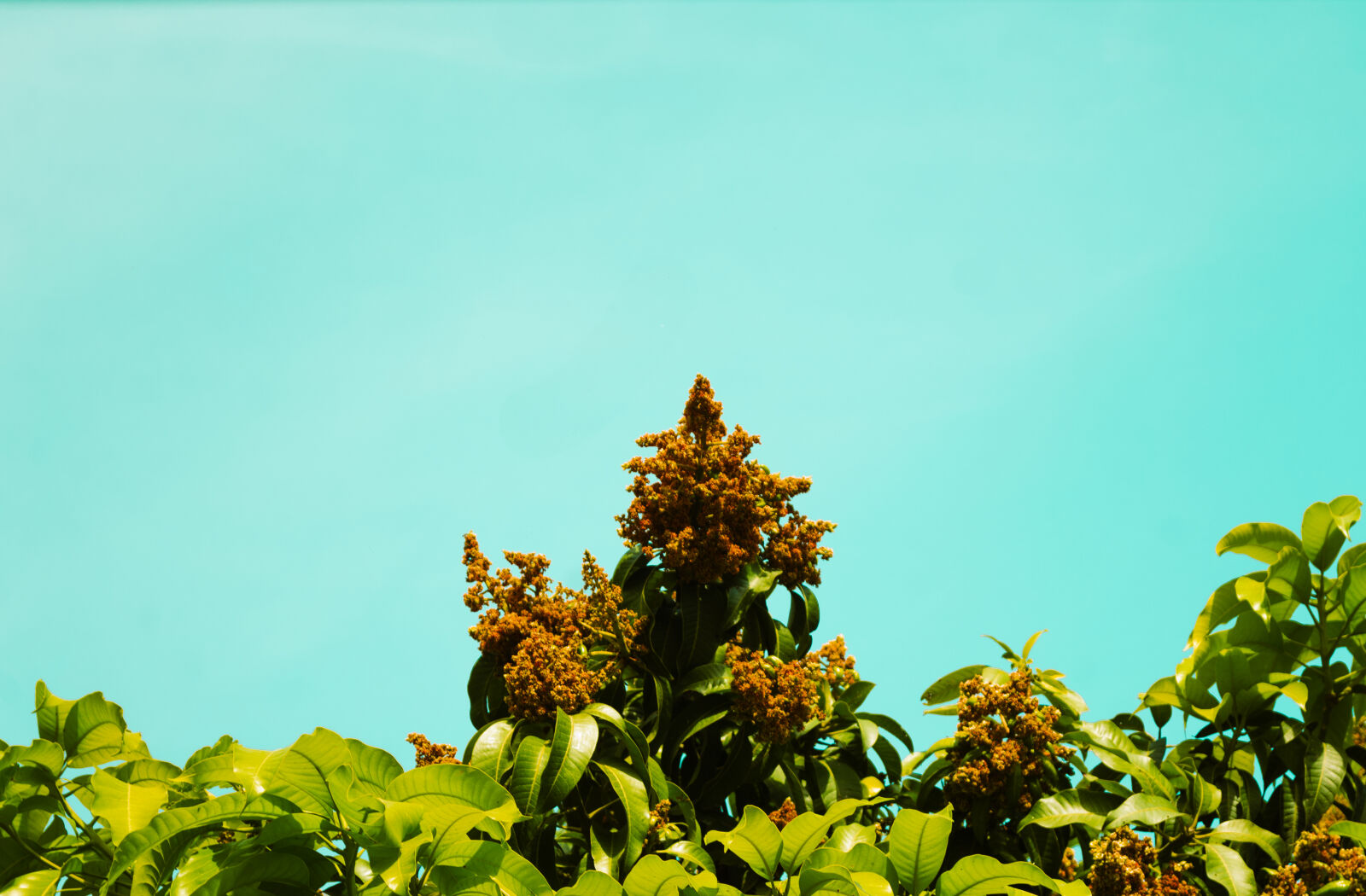 Nikon D3100 sample photo