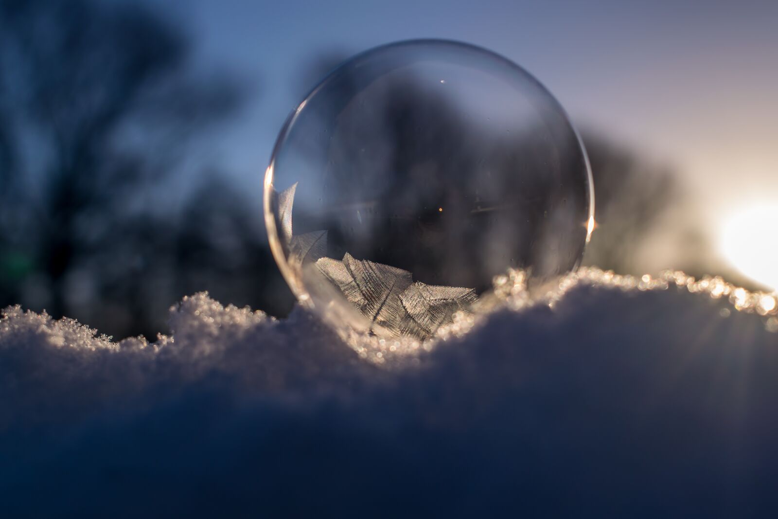 Nikon D5300 sample photo. Soap bubble, frozen, frozen photography
