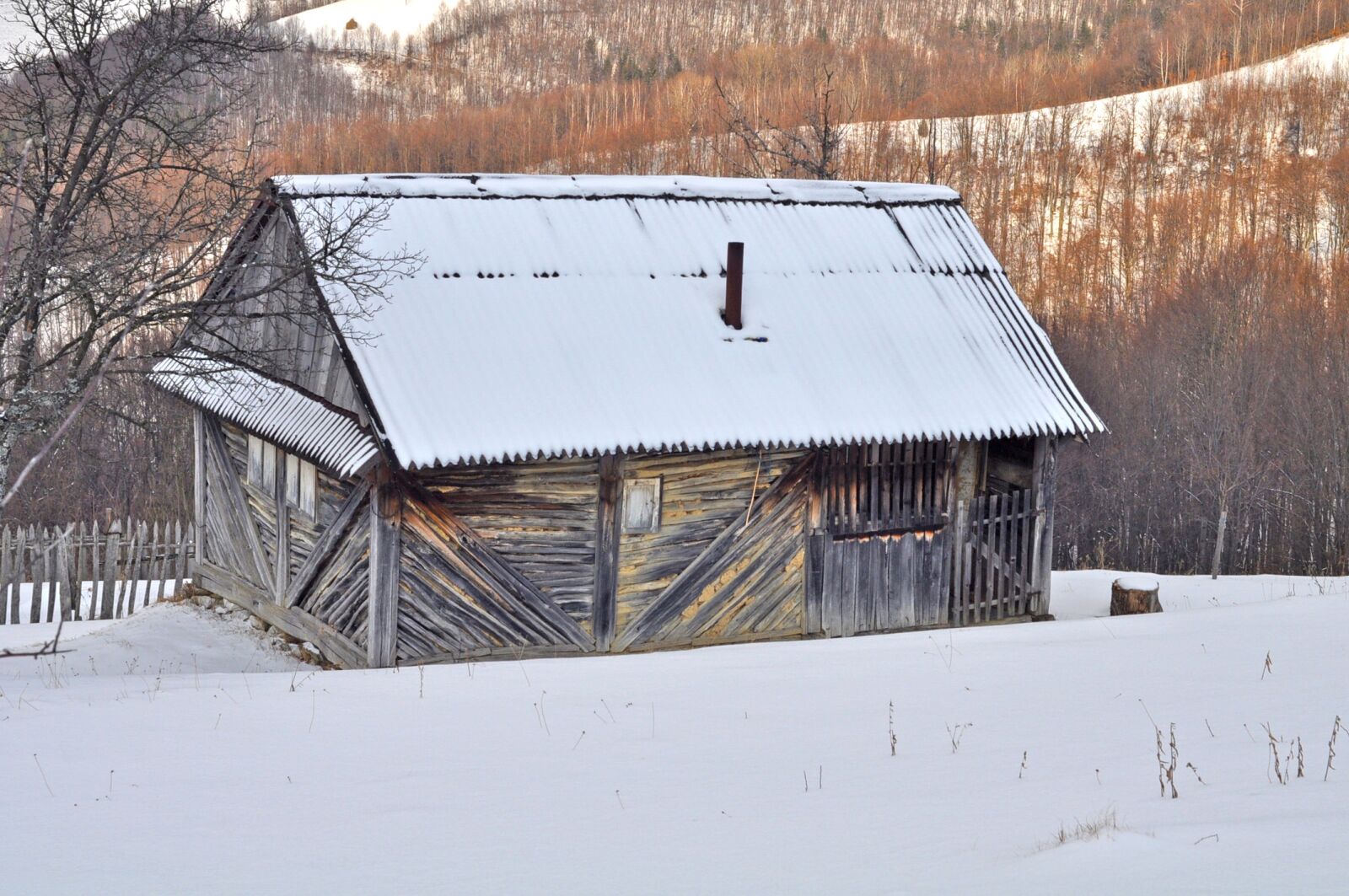 Nikon D90 sample photo. Snow, winter, cold photography