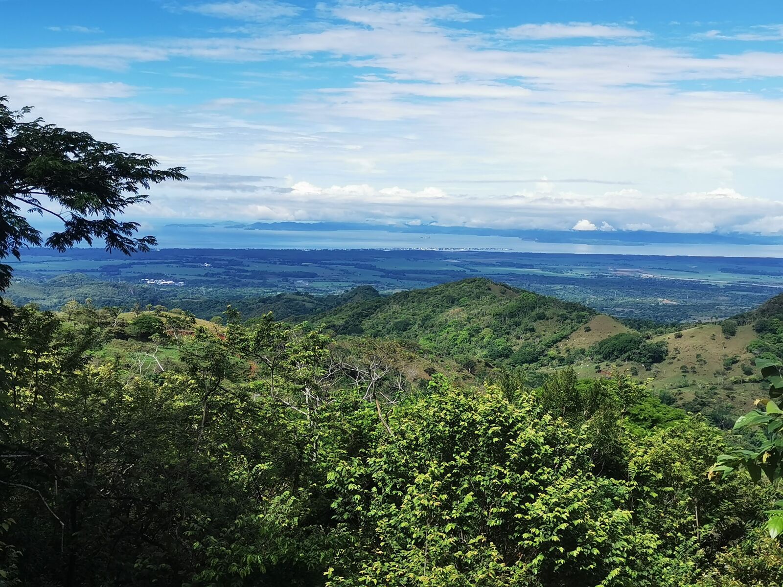 HUAWEI P30 sample photo
