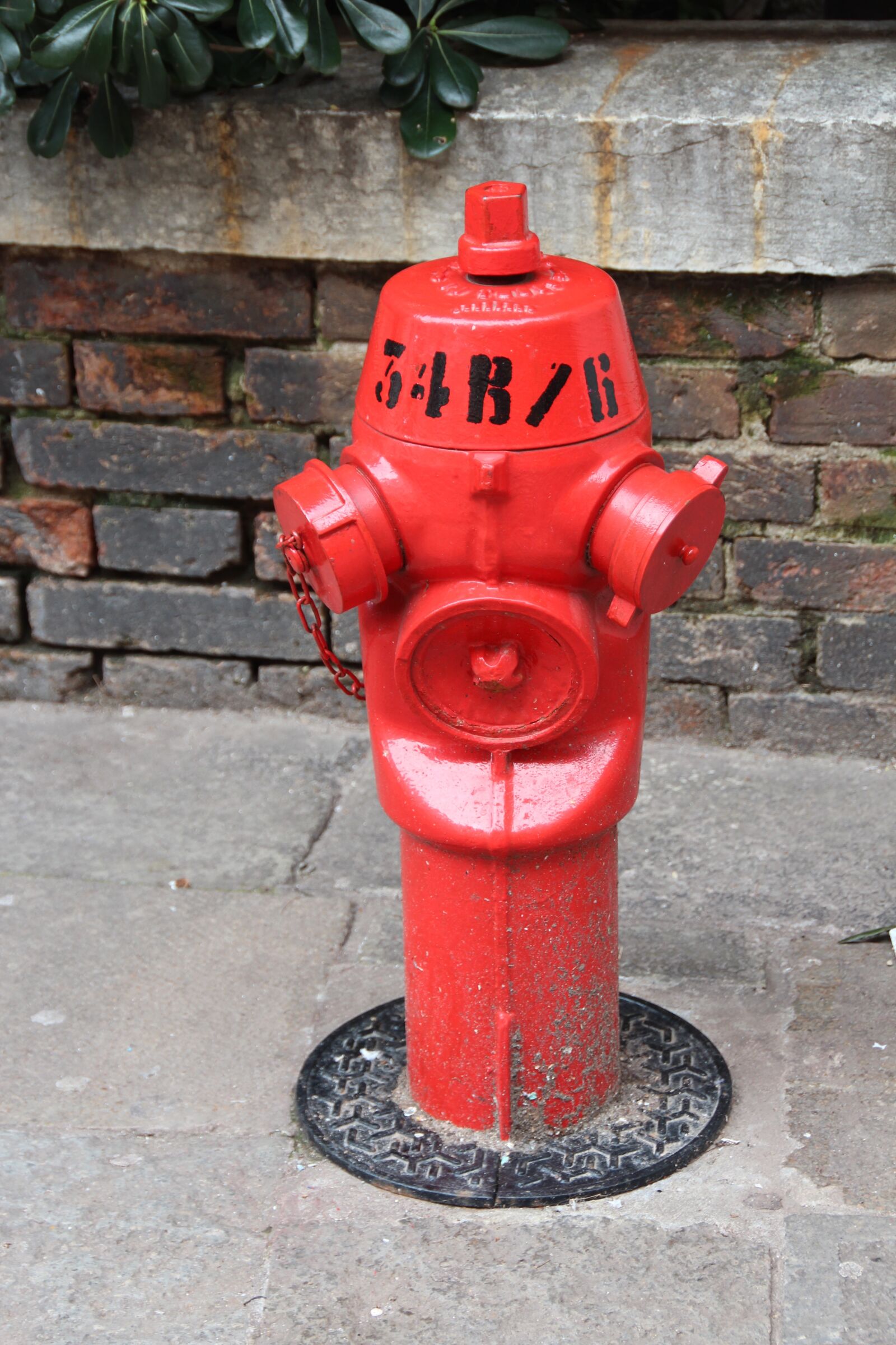 Canon EOS 600D (Rebel EOS T3i / EOS Kiss X5) sample photo. Hydrant, water, fire photography