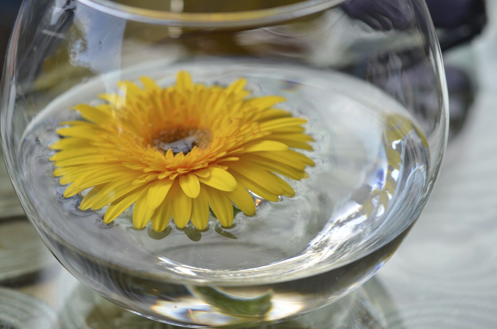 Nikon D7000 sample photo. Sri lanka, beauty photography