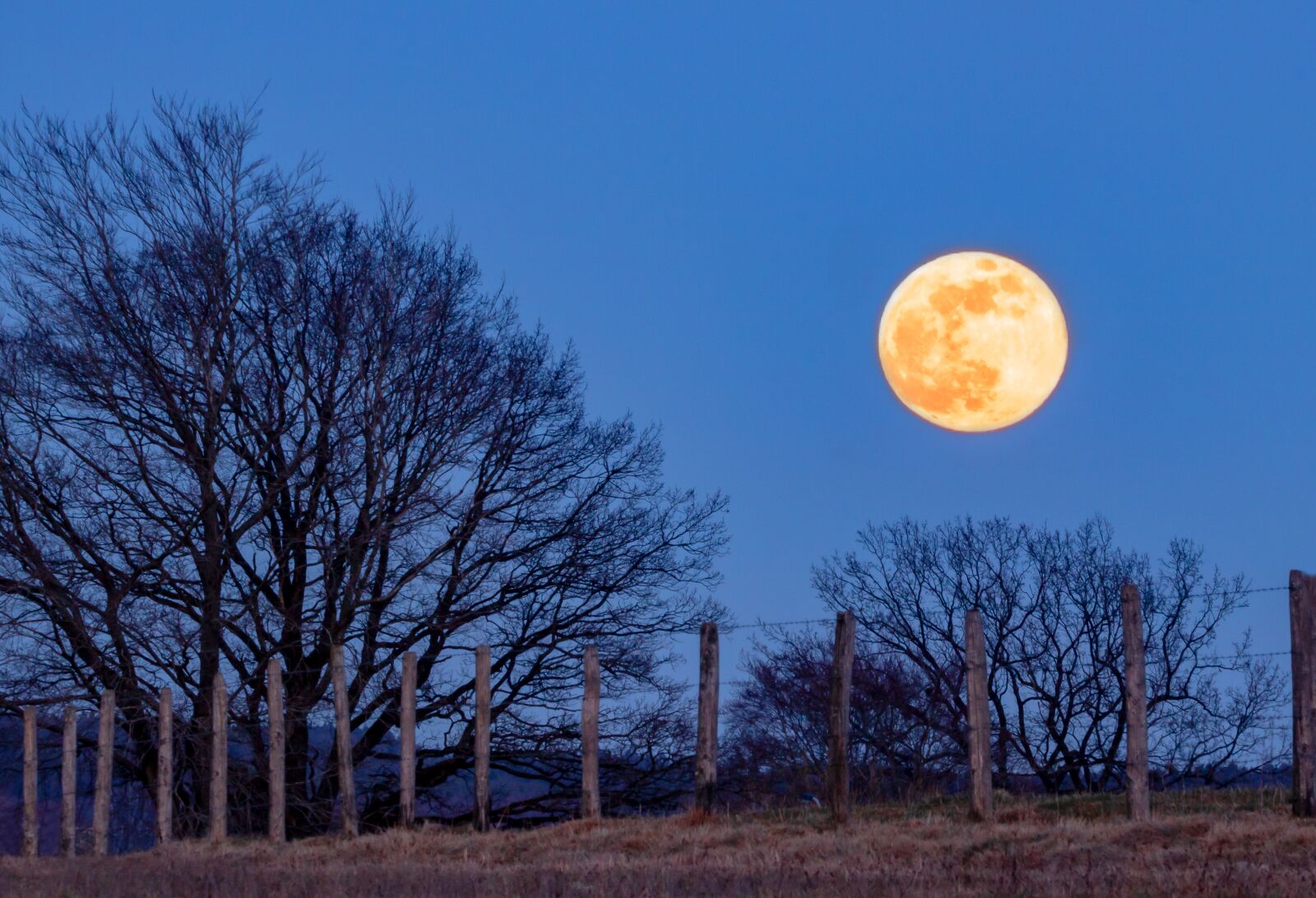 150-600mm F5-6.3 DG OS HSM | Contemporary 015 sample photo. Full moon, super moon photography