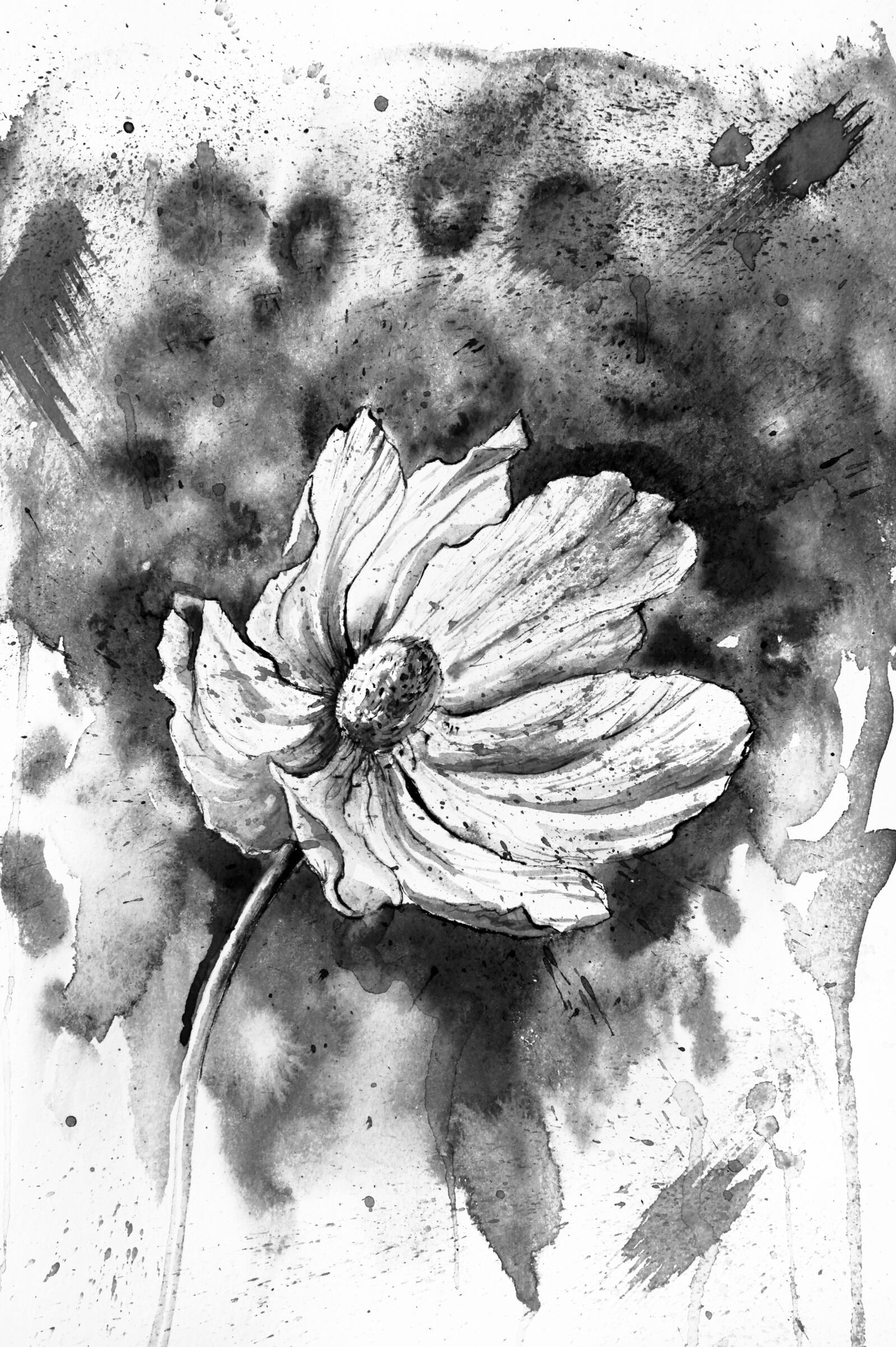 Canon EOS 5D Mark II sample photo. Black and white, watercolor photography