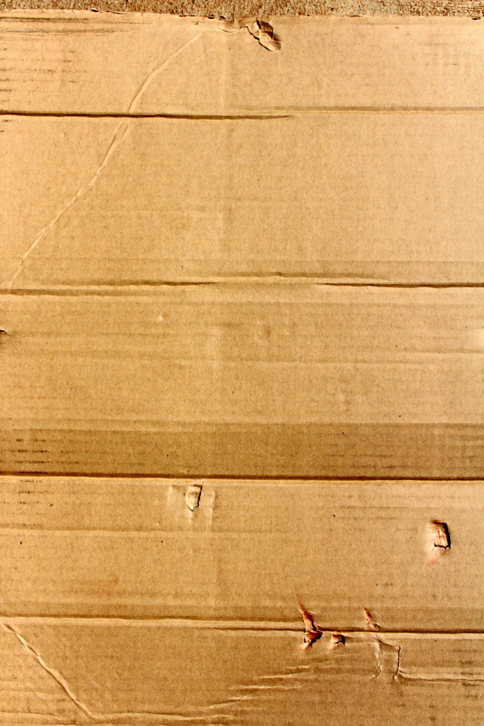 Canon EOS 650D (EOS Rebel T4i / EOS Kiss X6i) sample photo. Brown, cardboard, close, up photography