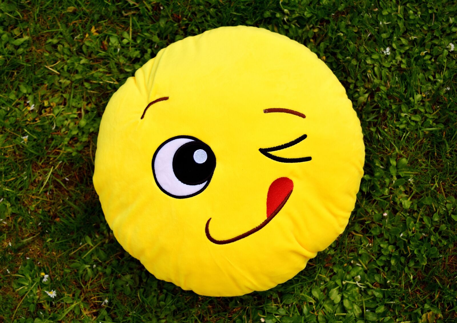 Nikon D7200 sample photo. Smiley, funny, wink photography