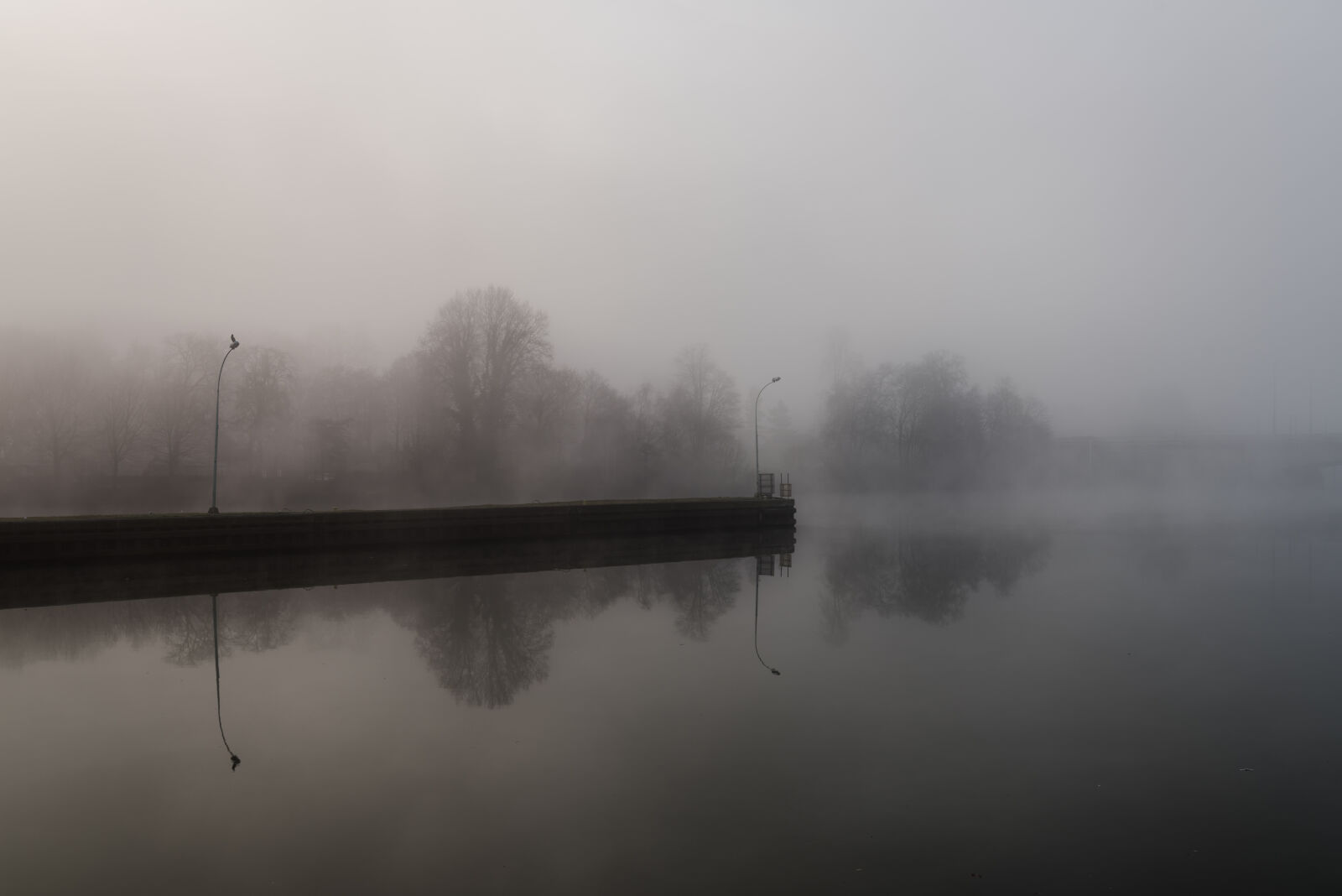 Nikon D810 + Sigma 24-105mm F4 DG OS HSM Art sample photo. Calm, waters, misty, river photography