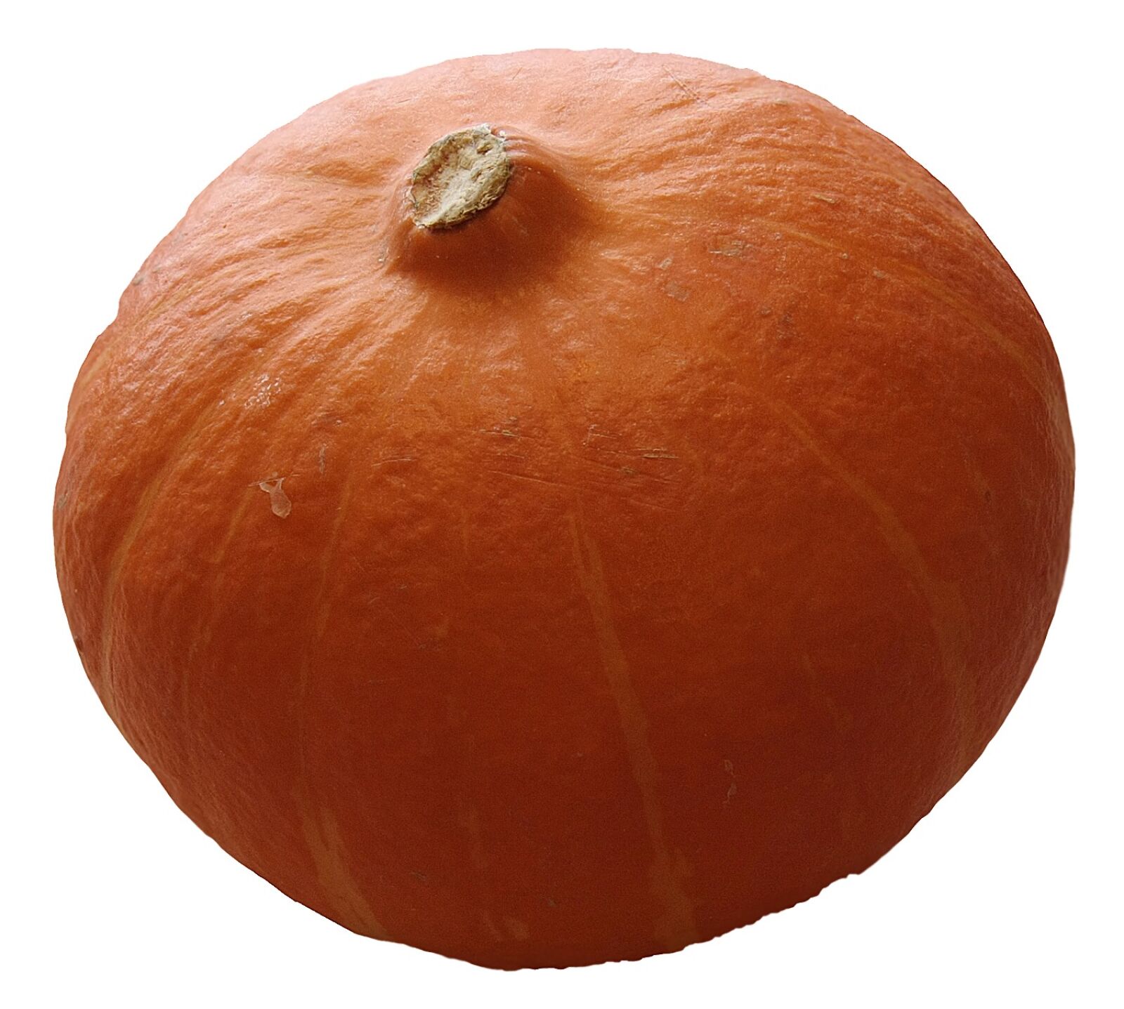 Canon EOS 40D sample photo. Pumpkin, hokkaidō japan, orange photography