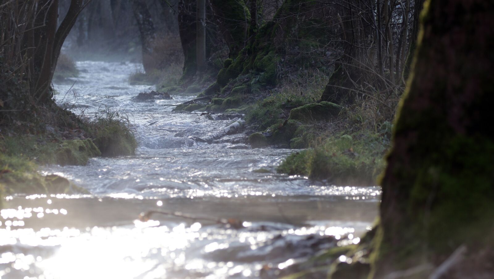 Canon EOS 7D Mark II sample photo. River, water, fog photography