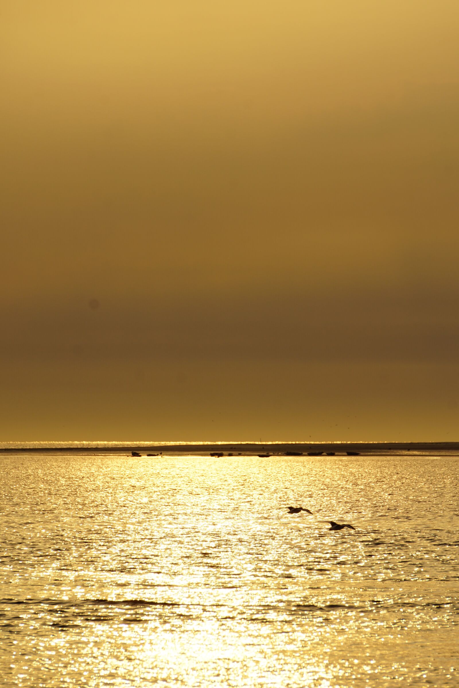 Sony E 55-210mm F4.5-6.3 OSS sample photo. Sunset, beach, borkum photography