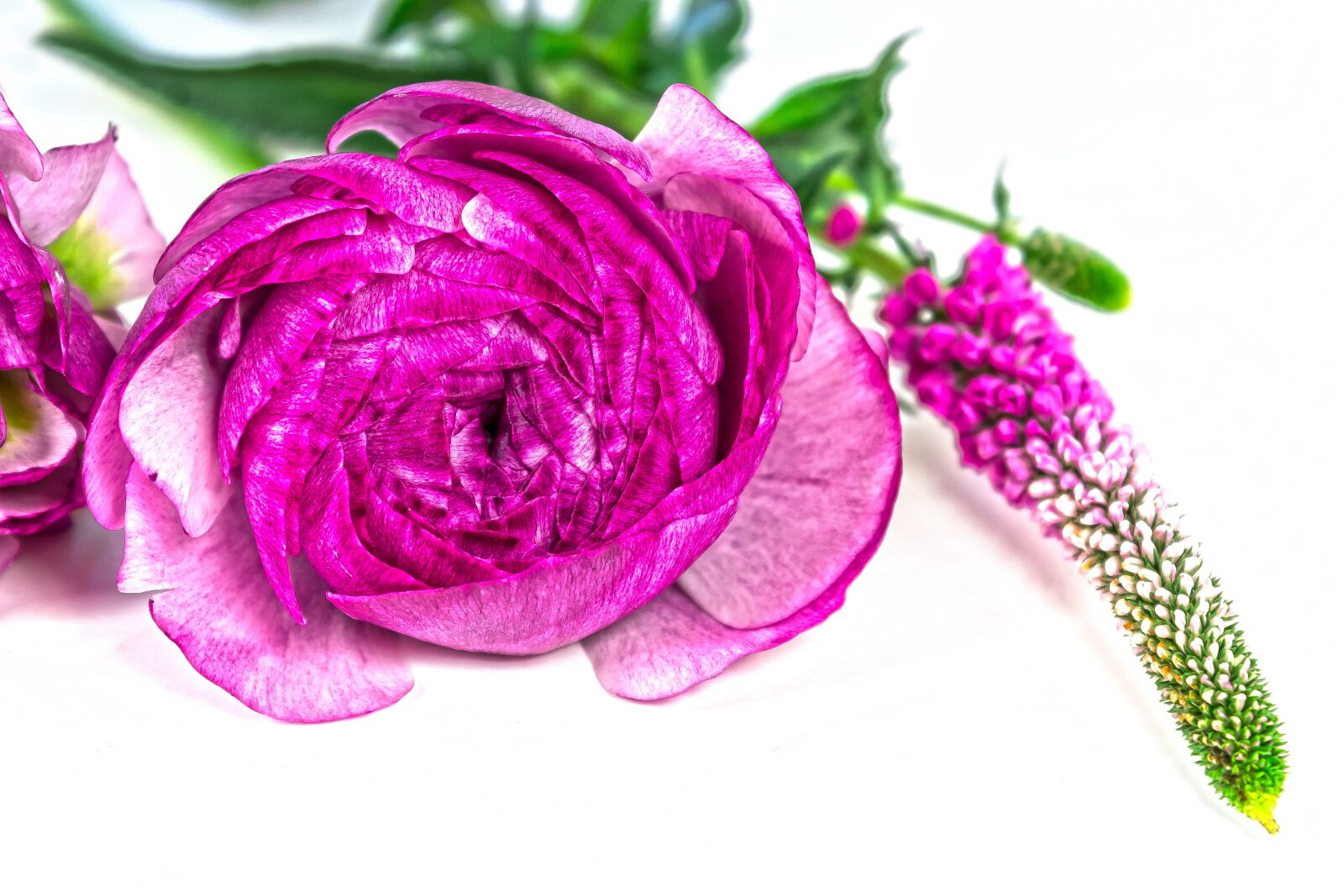 Canon EOS 1300D (EOS Rebel T6 / EOS Kiss X80) sample photo. Ranunculus, blossom, bloom photography