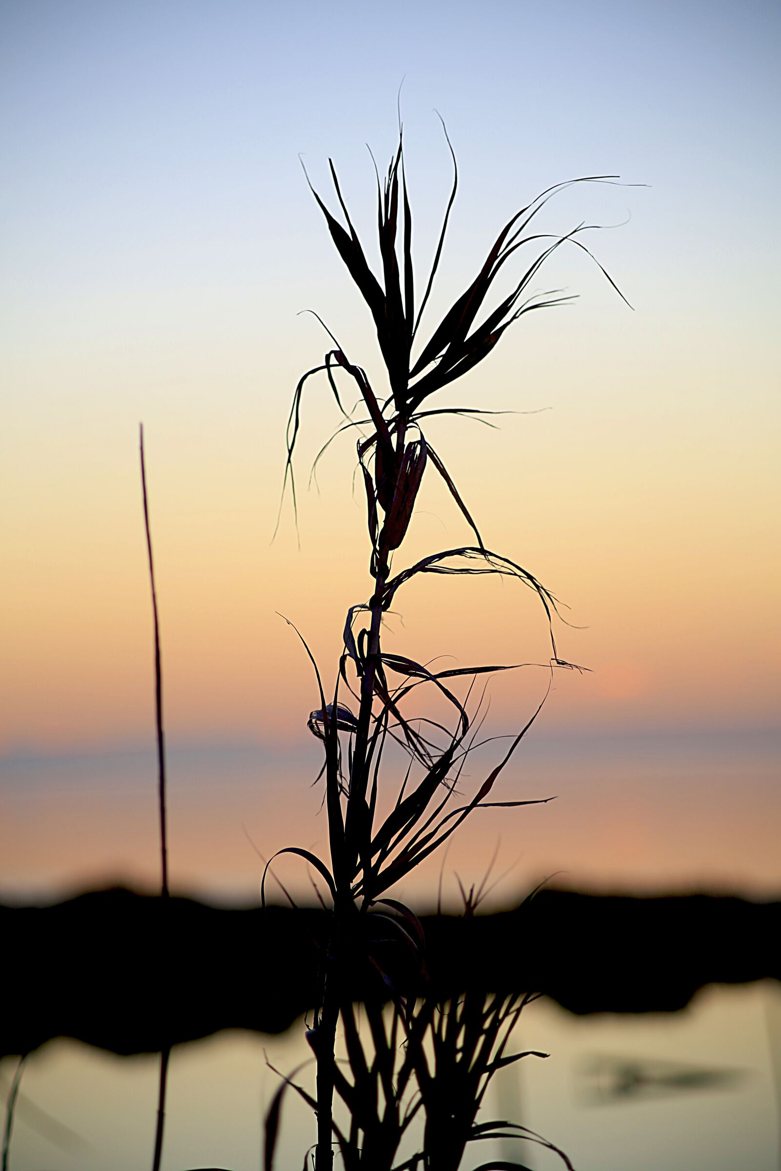 Canon EOS 5D Mark III sample photo. Nature, water, landscape photography