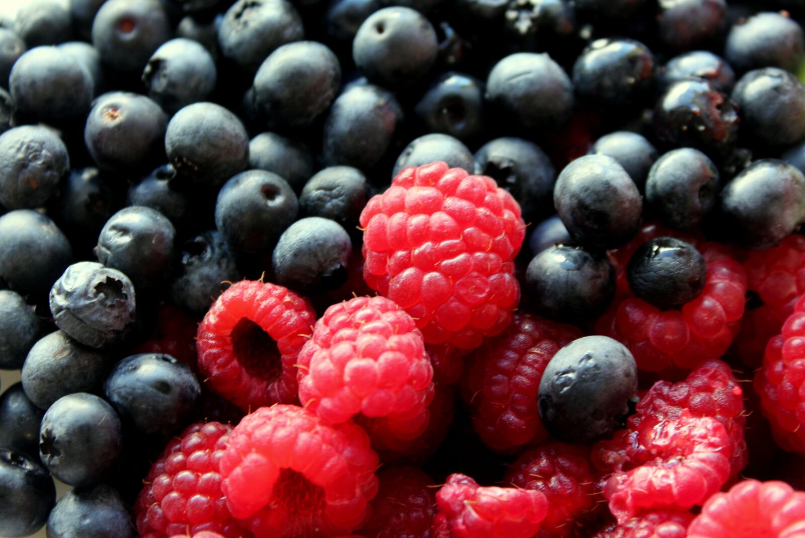 Canon EOS 1200D (EOS Rebel T5 / EOS Kiss X70 / EOS Hi) sample photo. Fruit, raspberries, blueberries photography