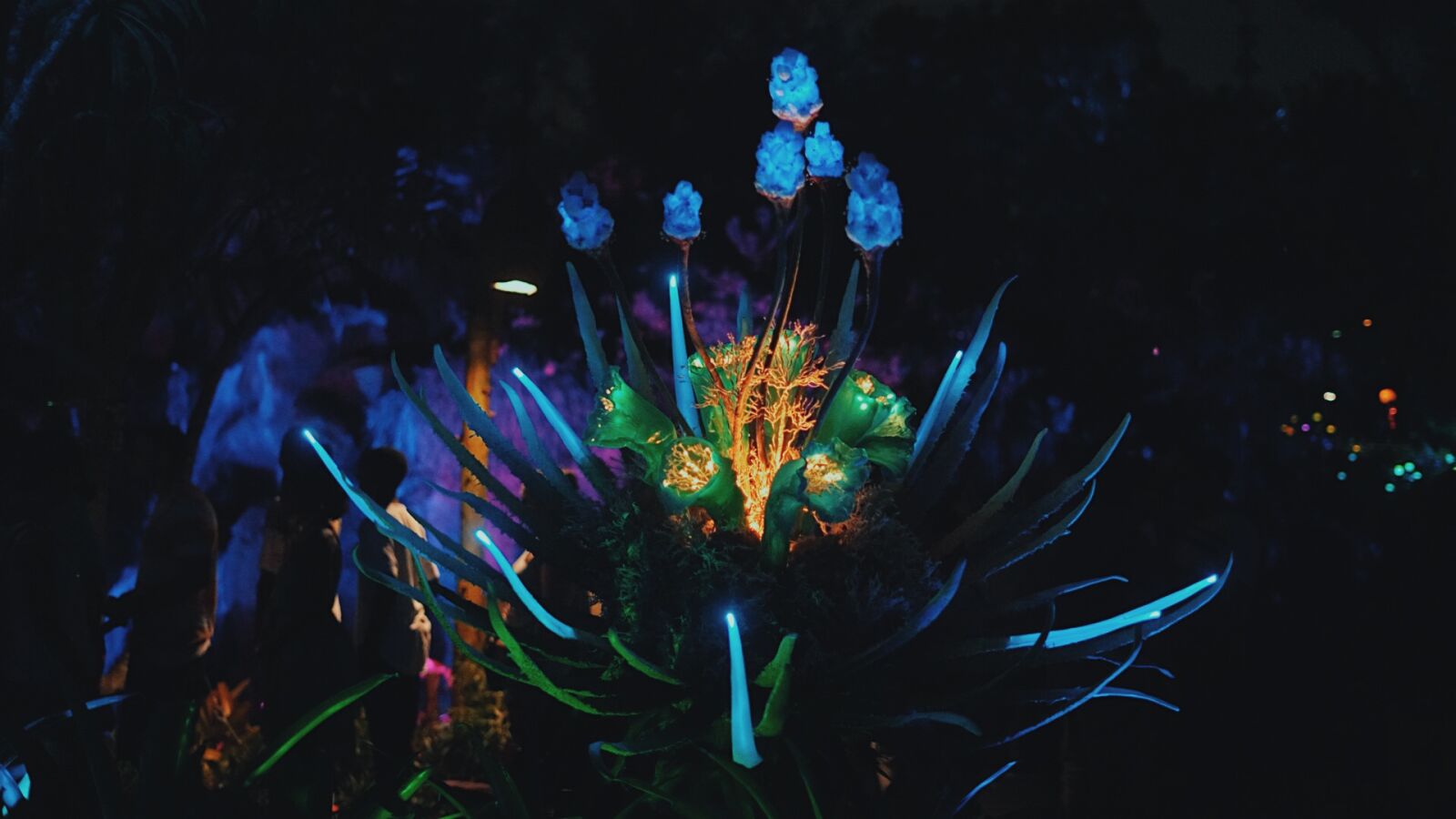 Sony a7R II sample photo. Neon, neon, flowers, night photography