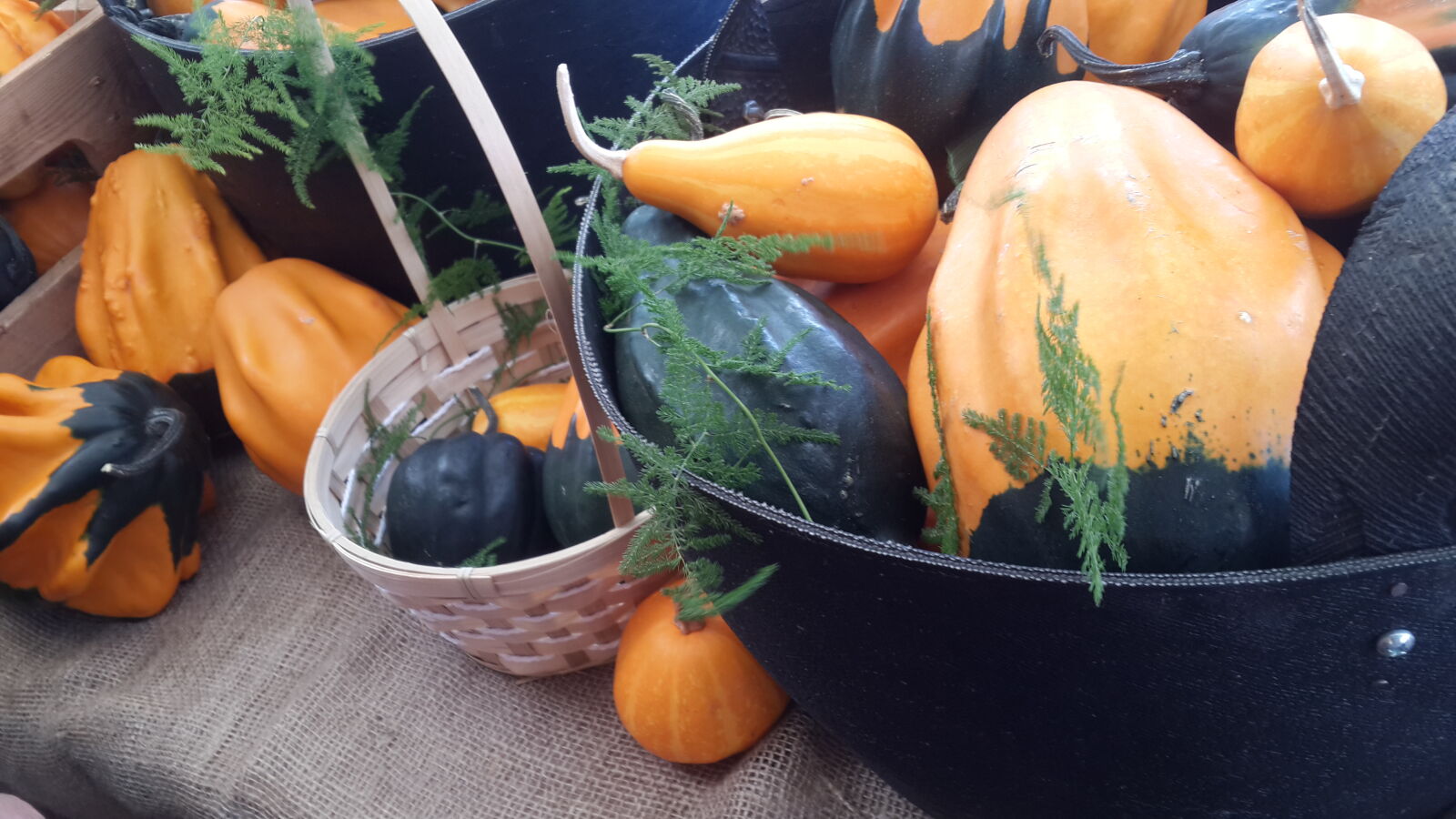 Samsung Galaxy S4 sample photo