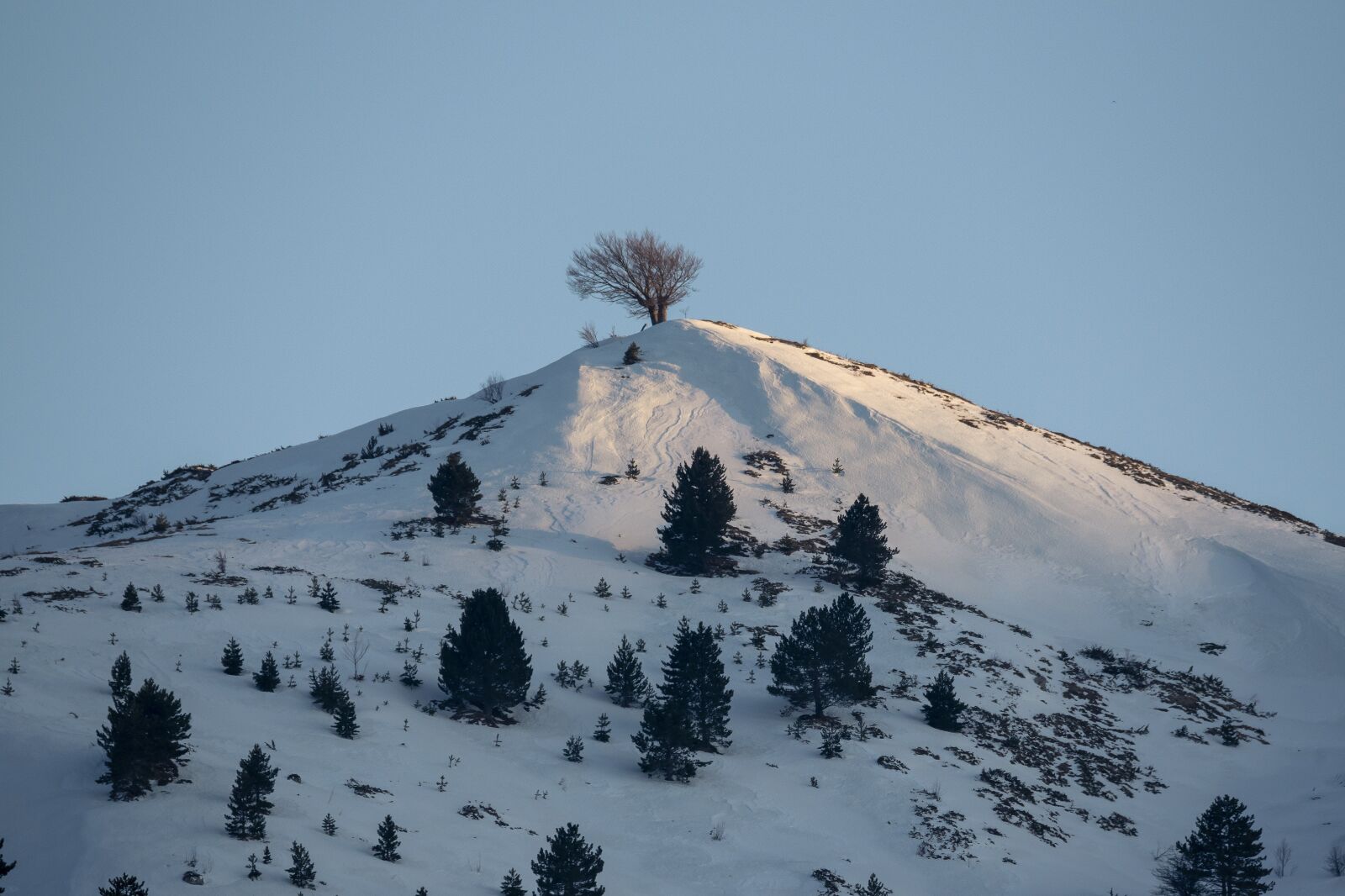 Nikon D750 sample photo. Top, mountain, peak photography