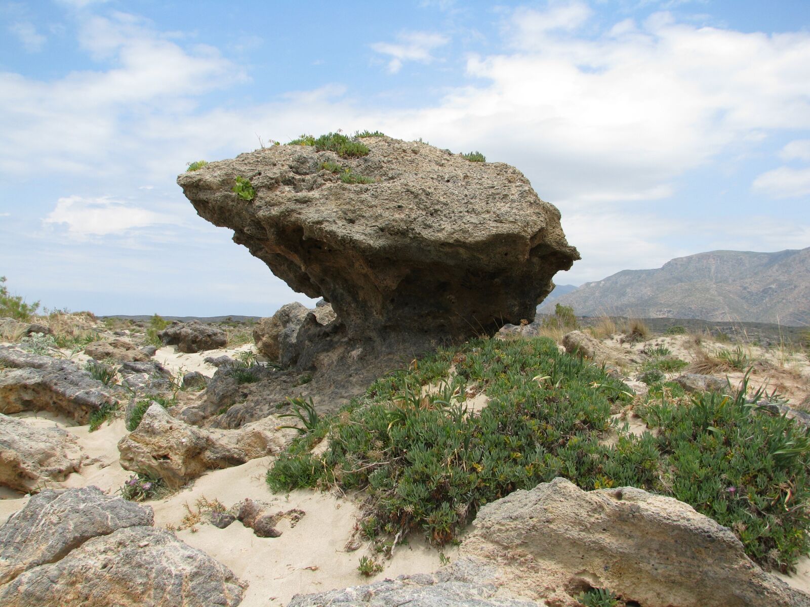 Canon POWERSHOT S5 IS sample photo. Elafonissi, crete, greece photography