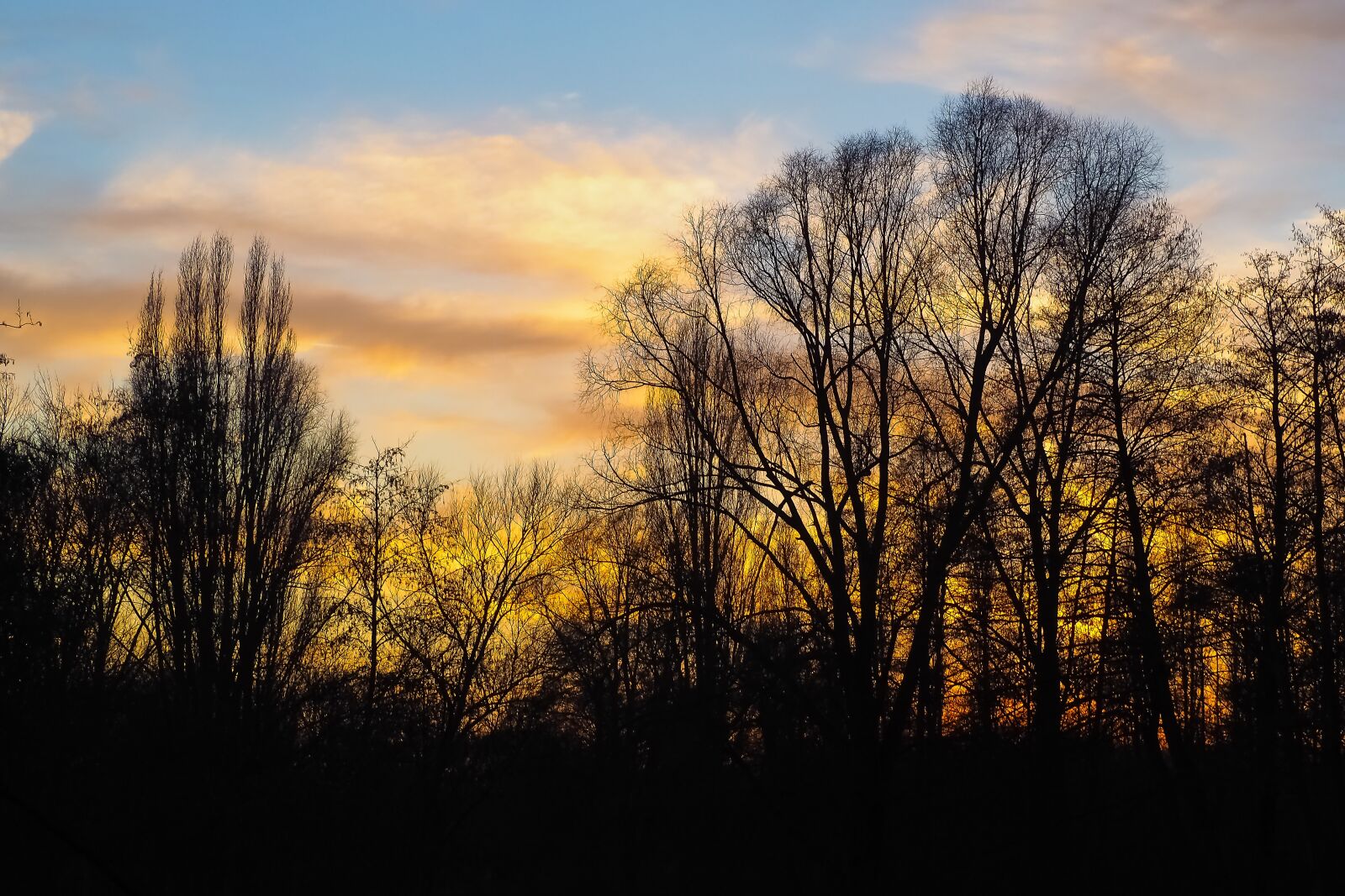 Olympus OM-D E-M10 sample photo. Landscape, sunset, nature photography