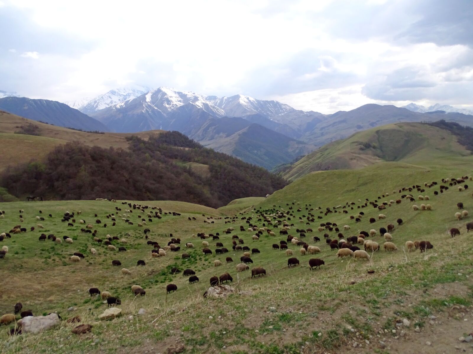 Sony DSC-HX400 sample photo. Mountains, alpine meadow, pasture photography