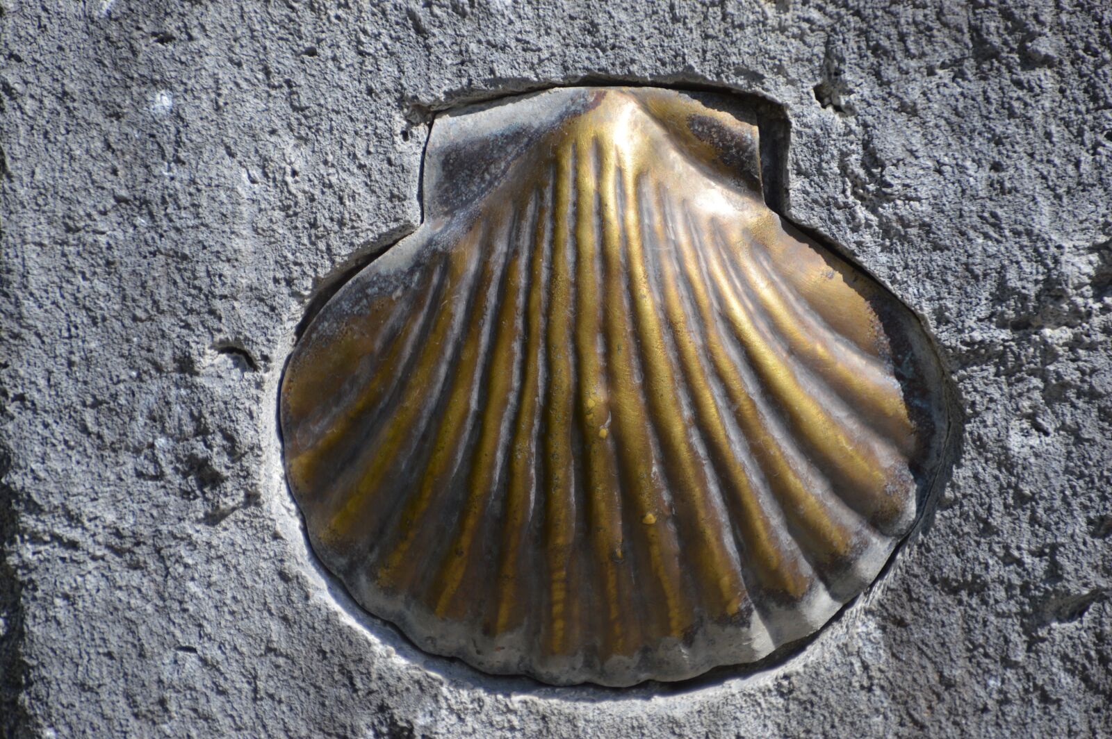 Nikon D3200 sample photo. Stone, shell, quartz photography