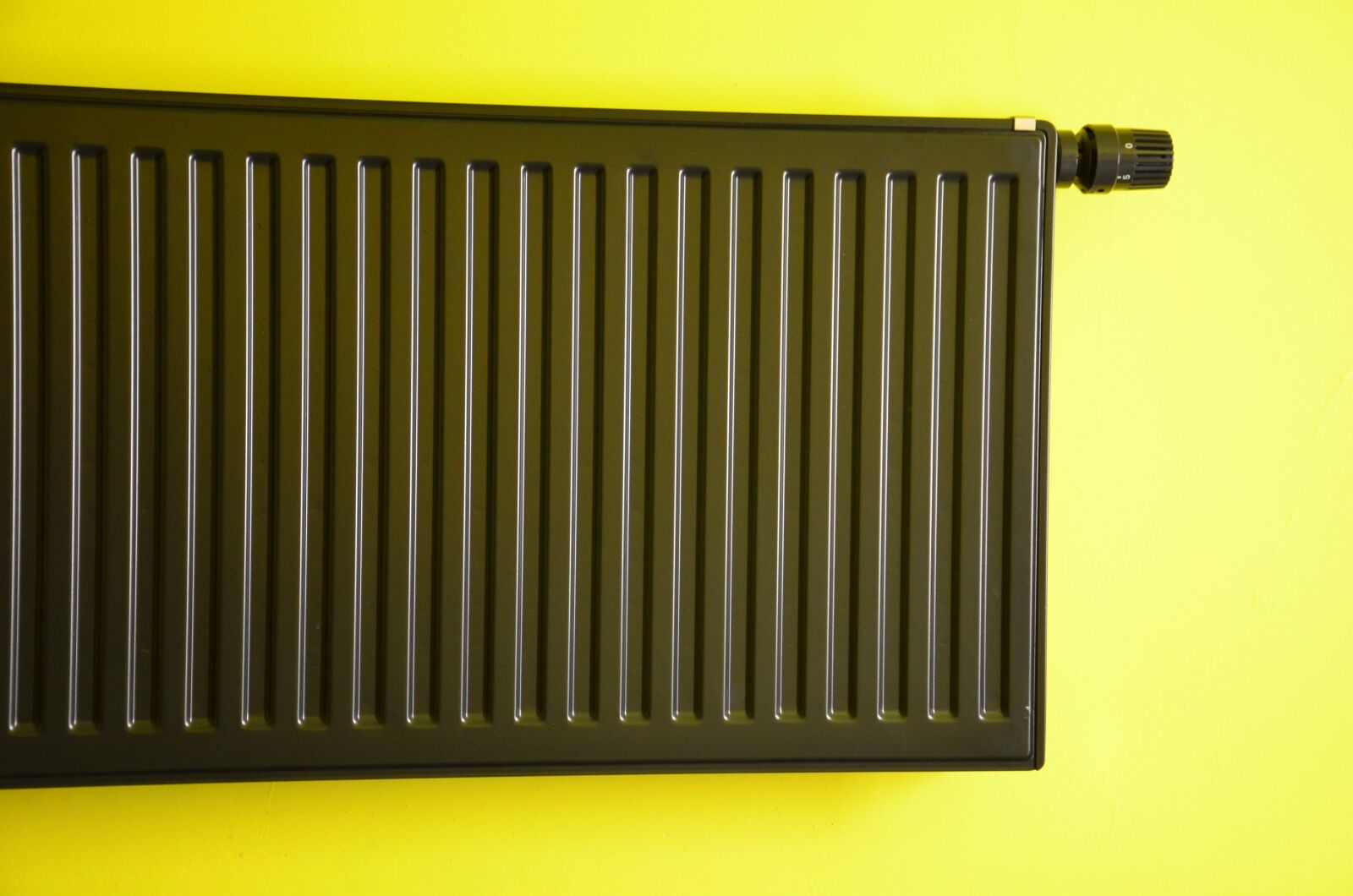 Nikon D5100 sample photo. Radiator, heating, green wall photography