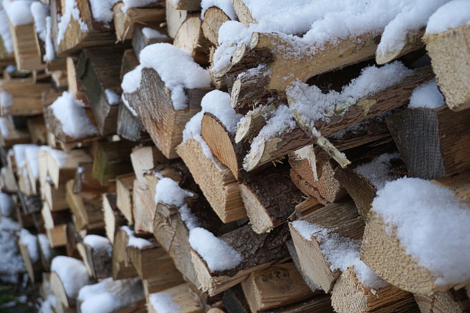 Sony a5100 sample photo. Wood, snow, winter photography