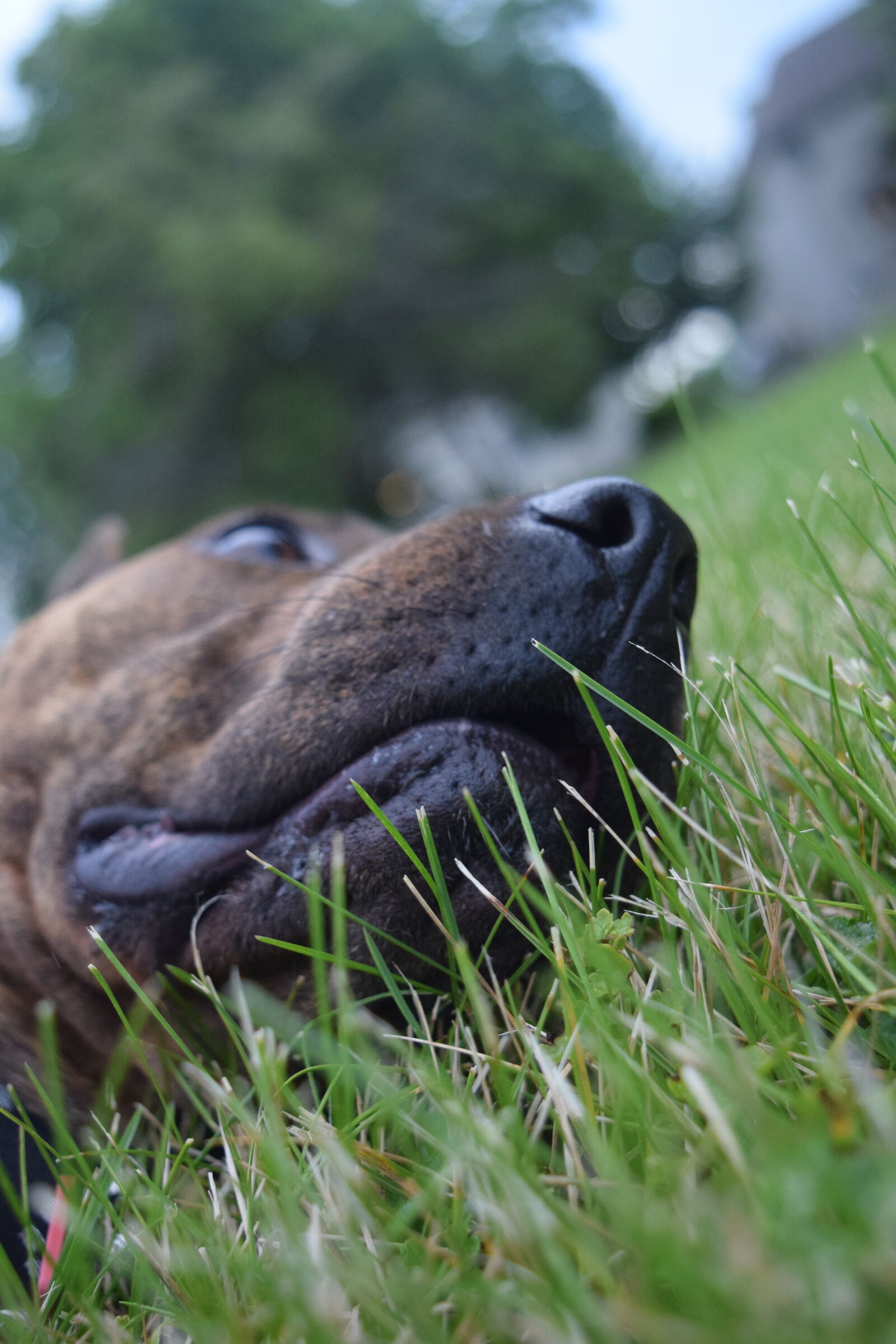 Nikon D3300 sample photo