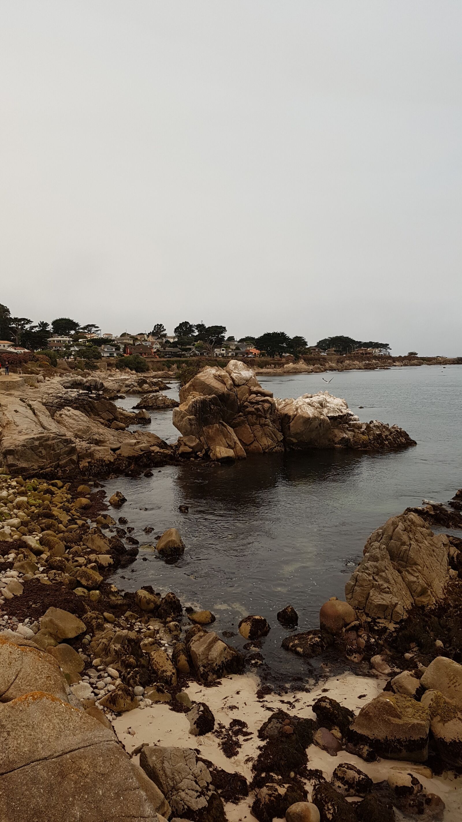 Samsung Galaxy S7 Edge sample photo. Sea, coast, cal photography